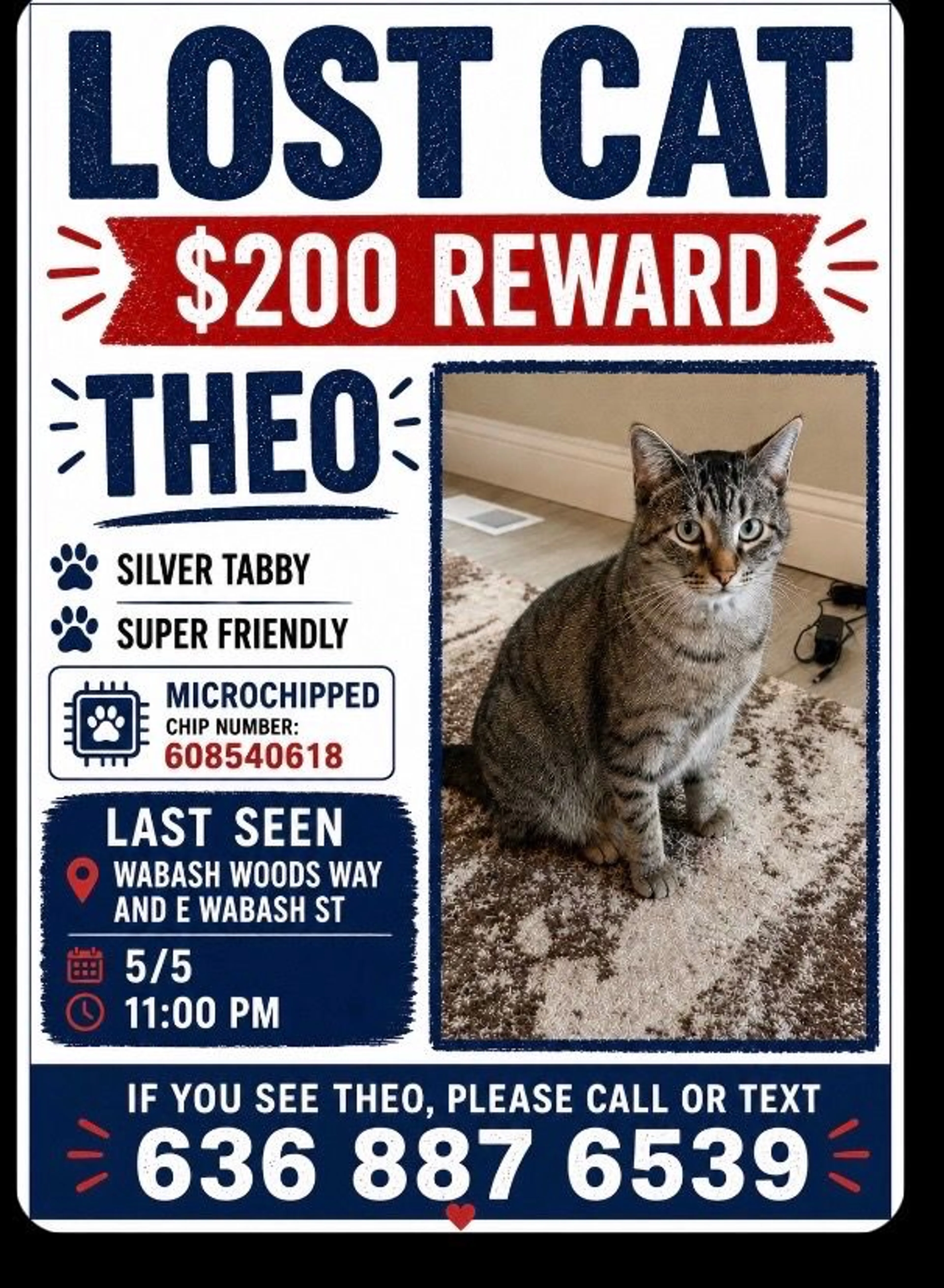 Lost pet-0