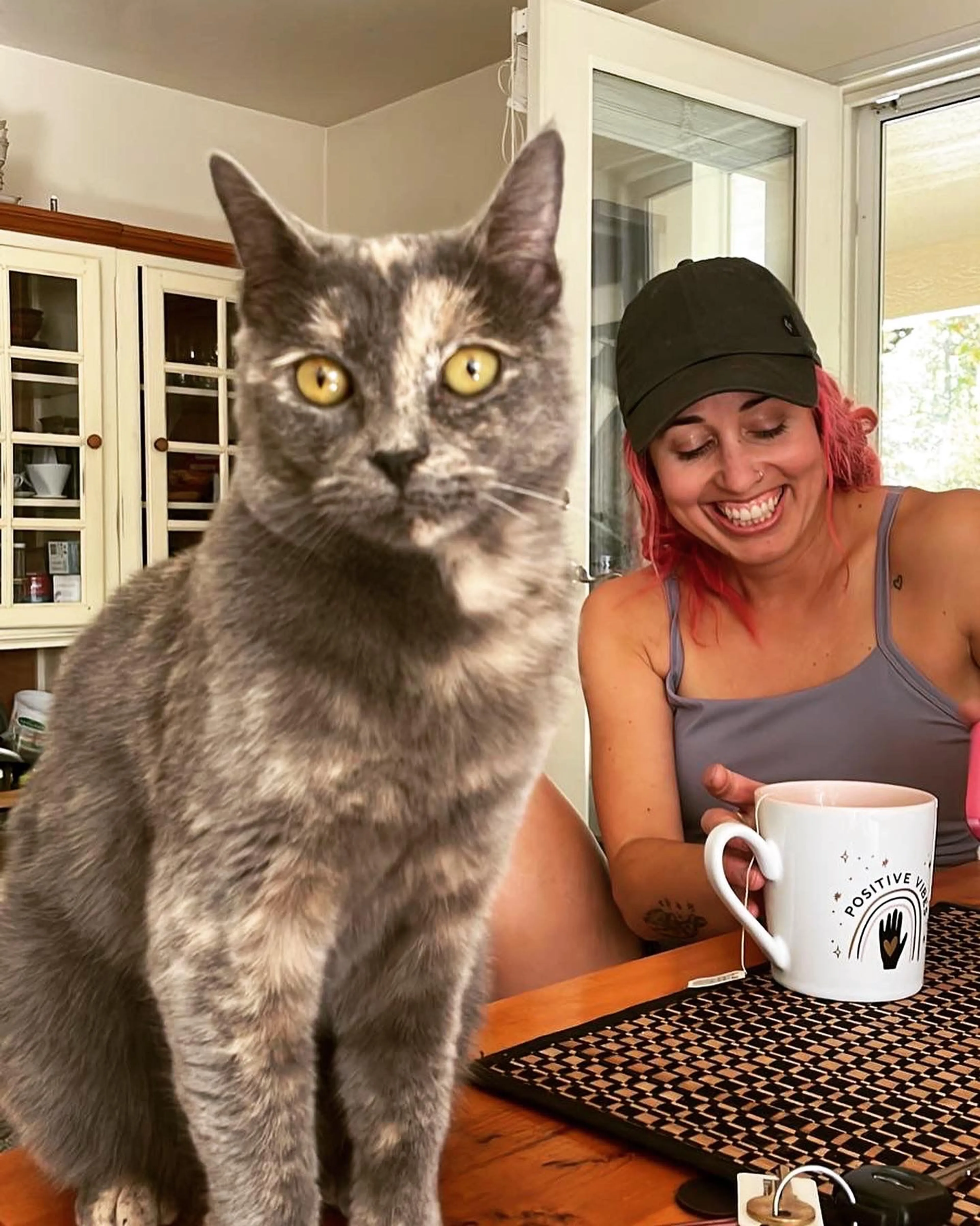 Lost pet-3