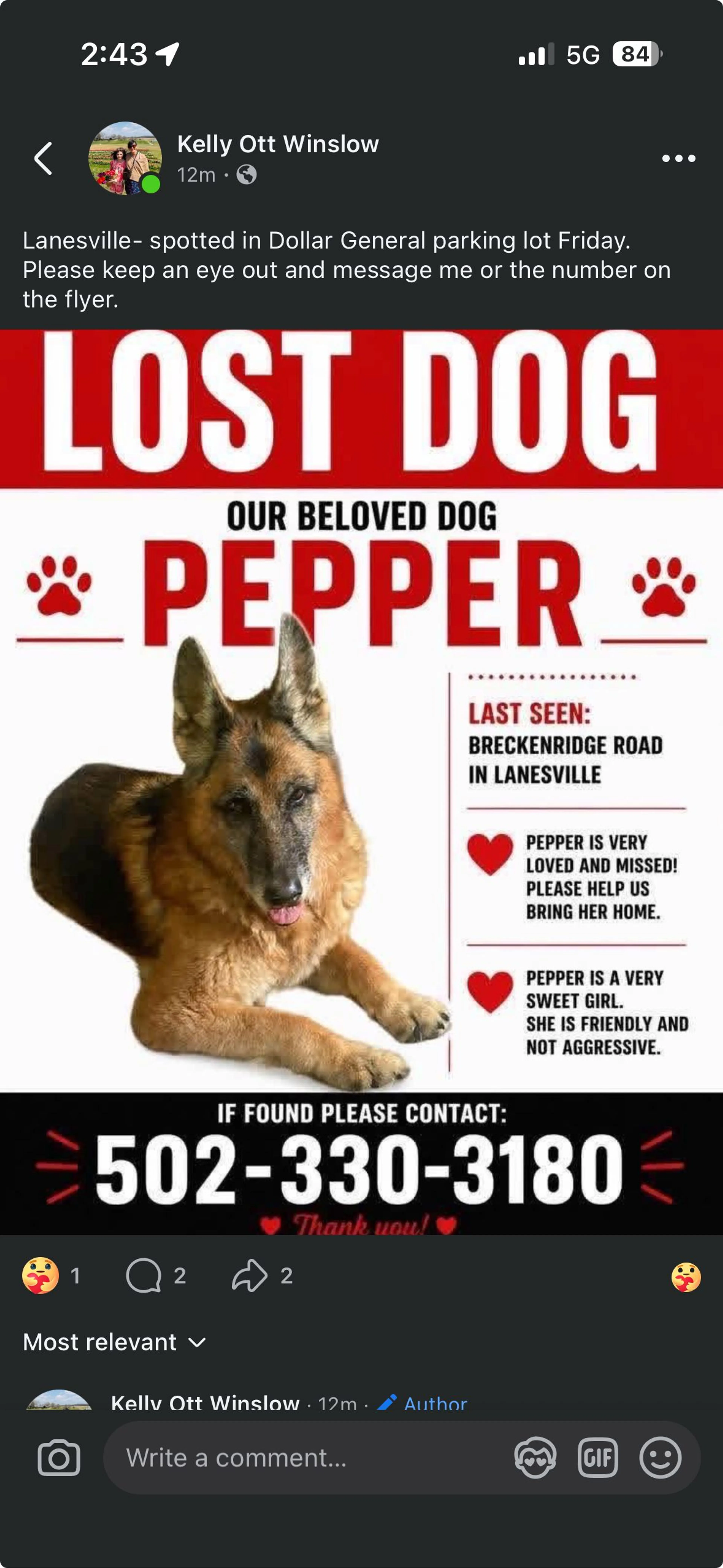 Lost pet