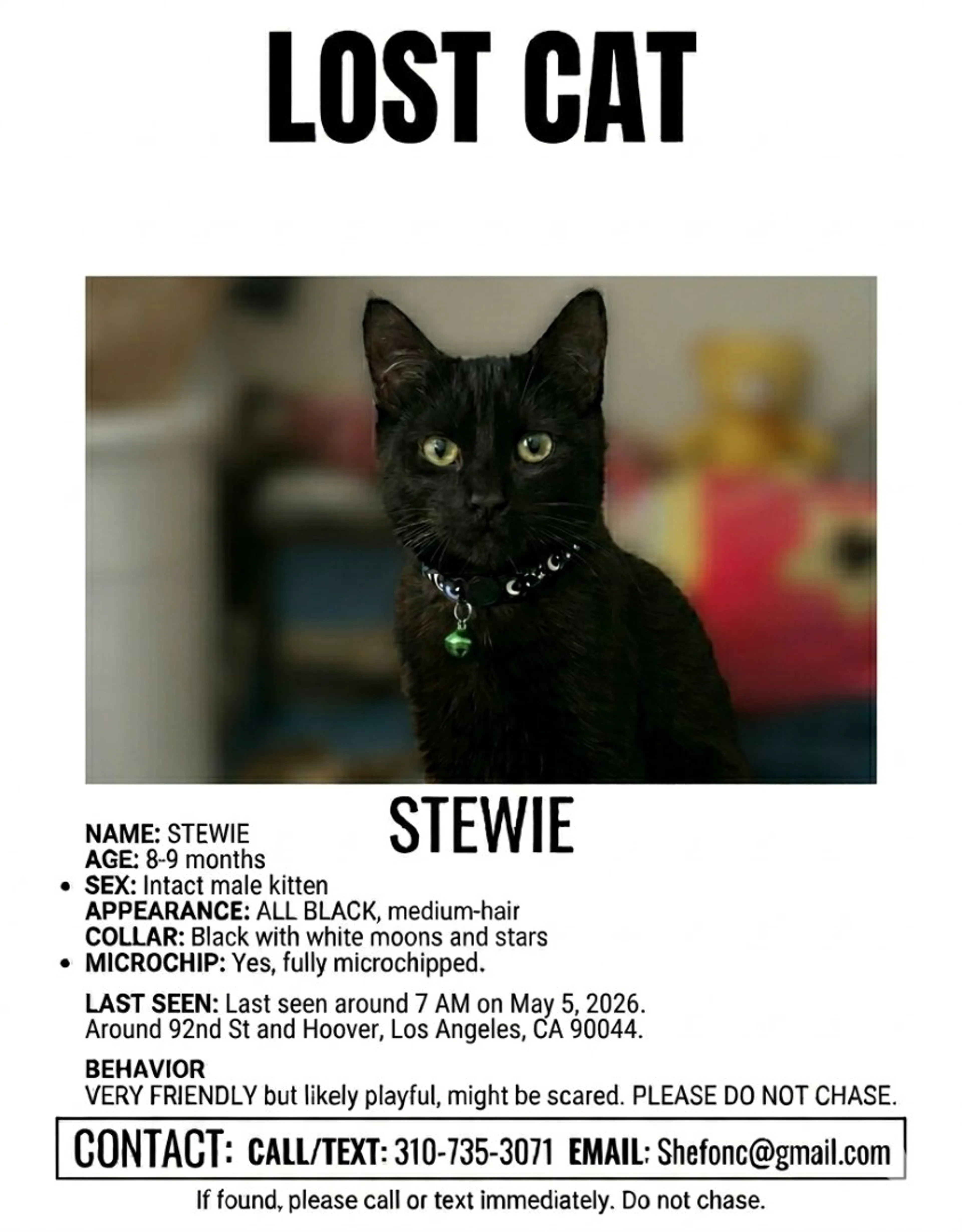Lost pet