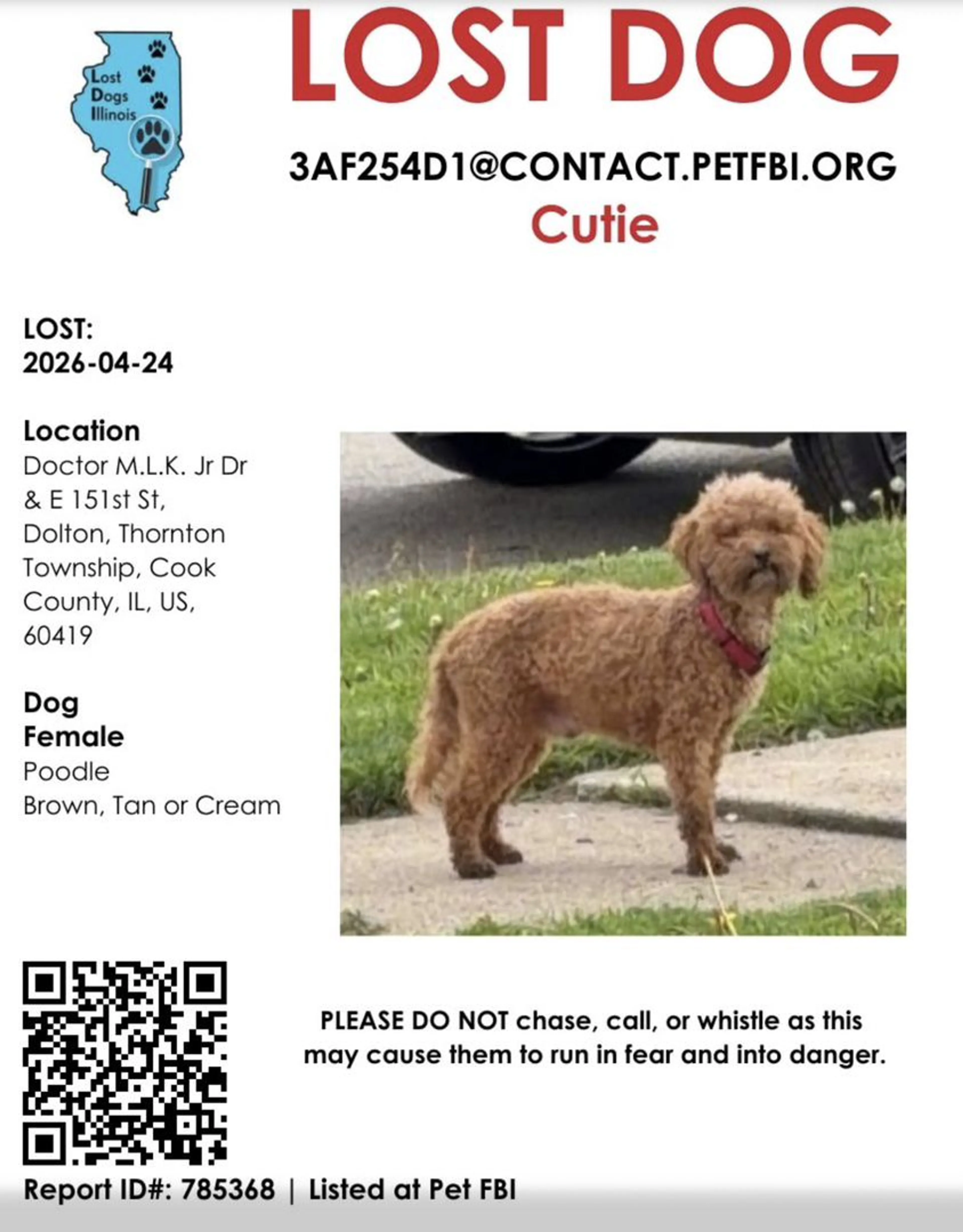 Lost pet