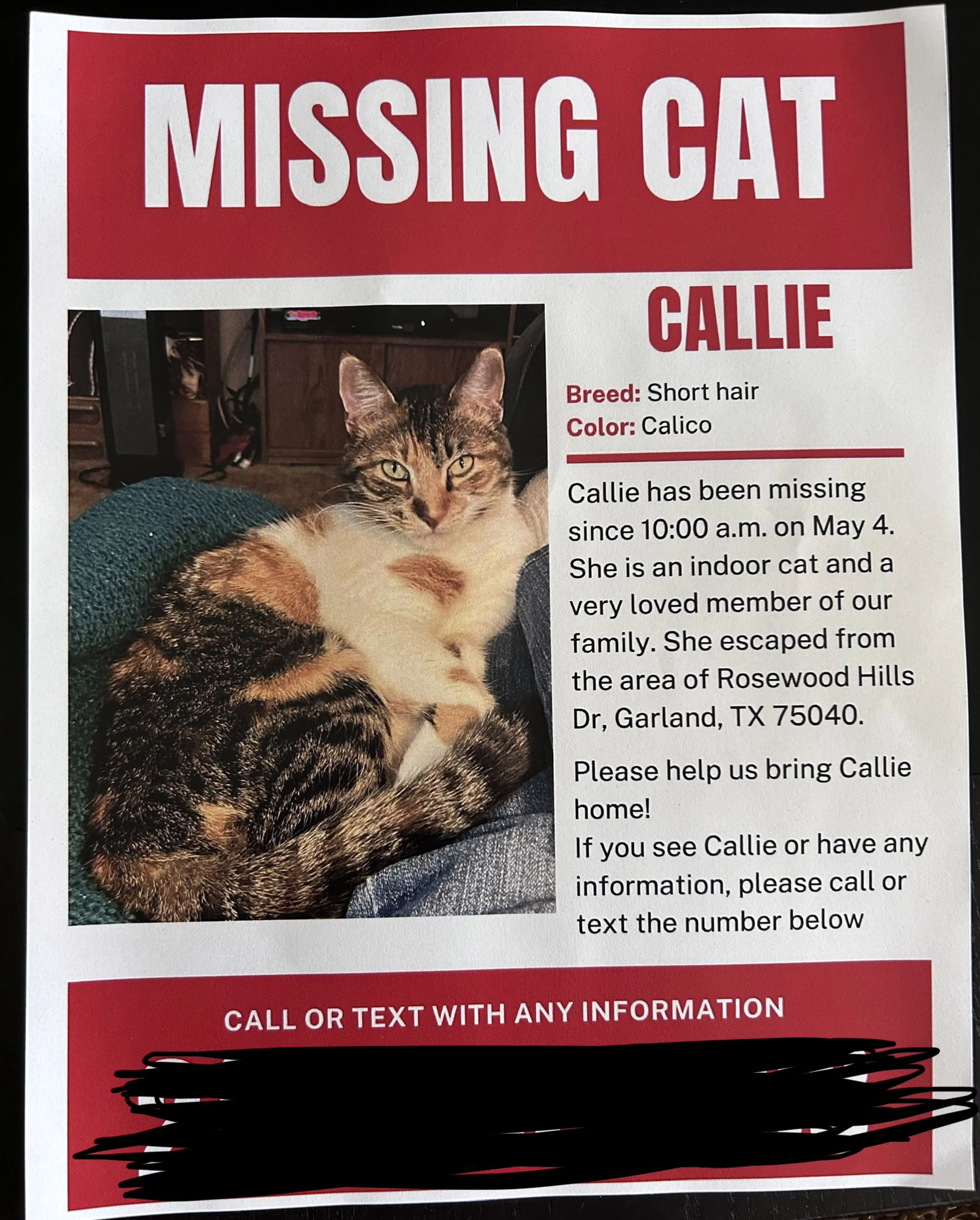 Lost pet