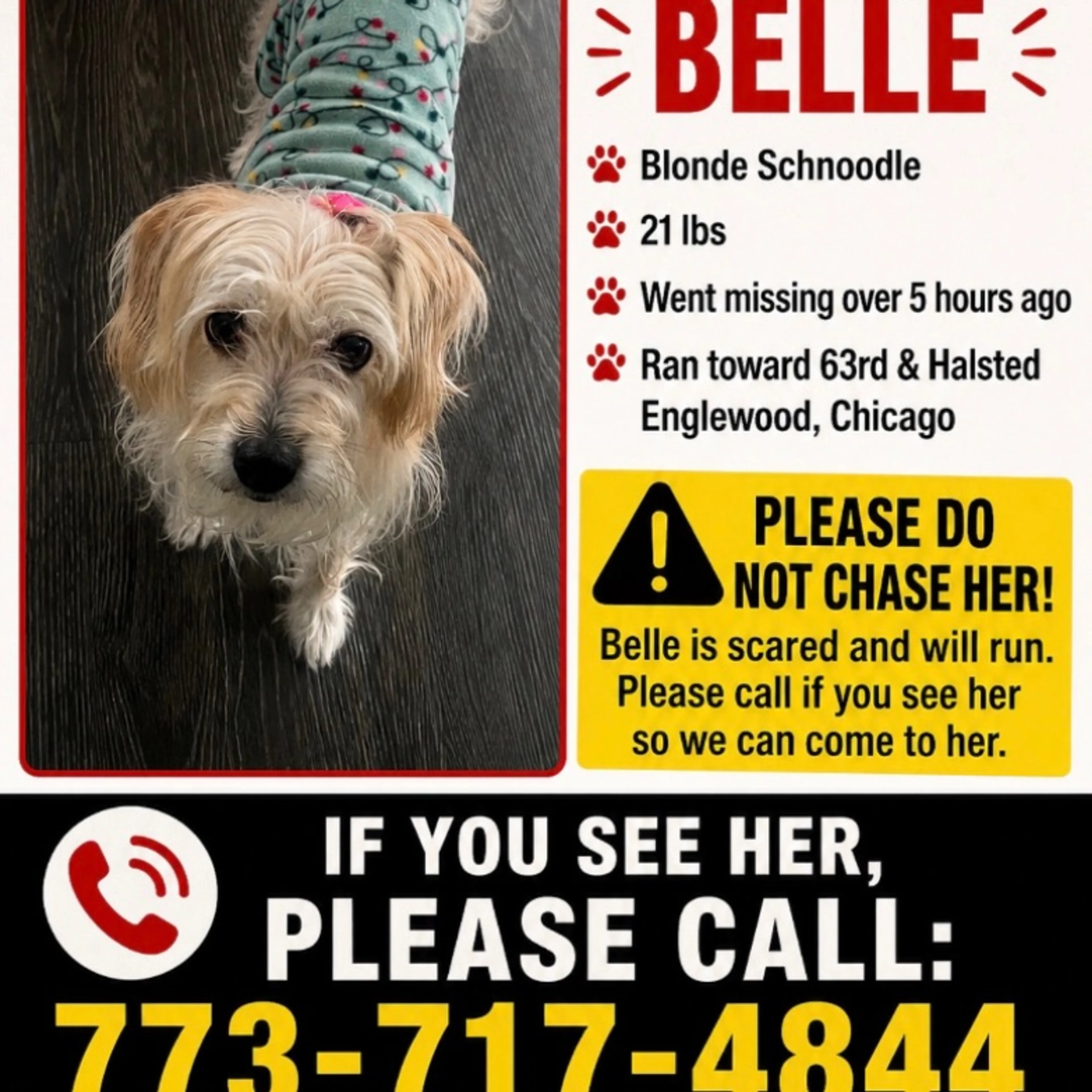 Lost pet
