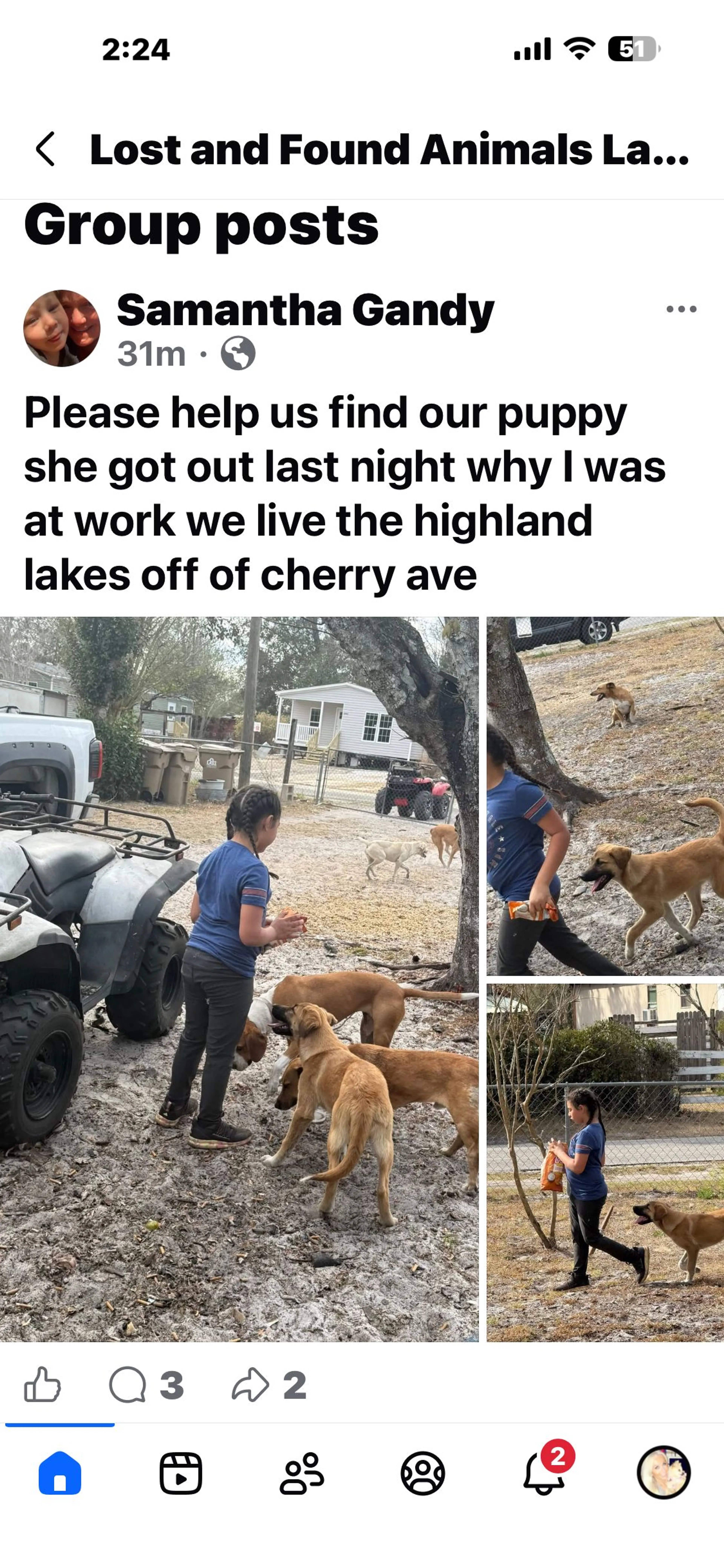 Lost pet-0