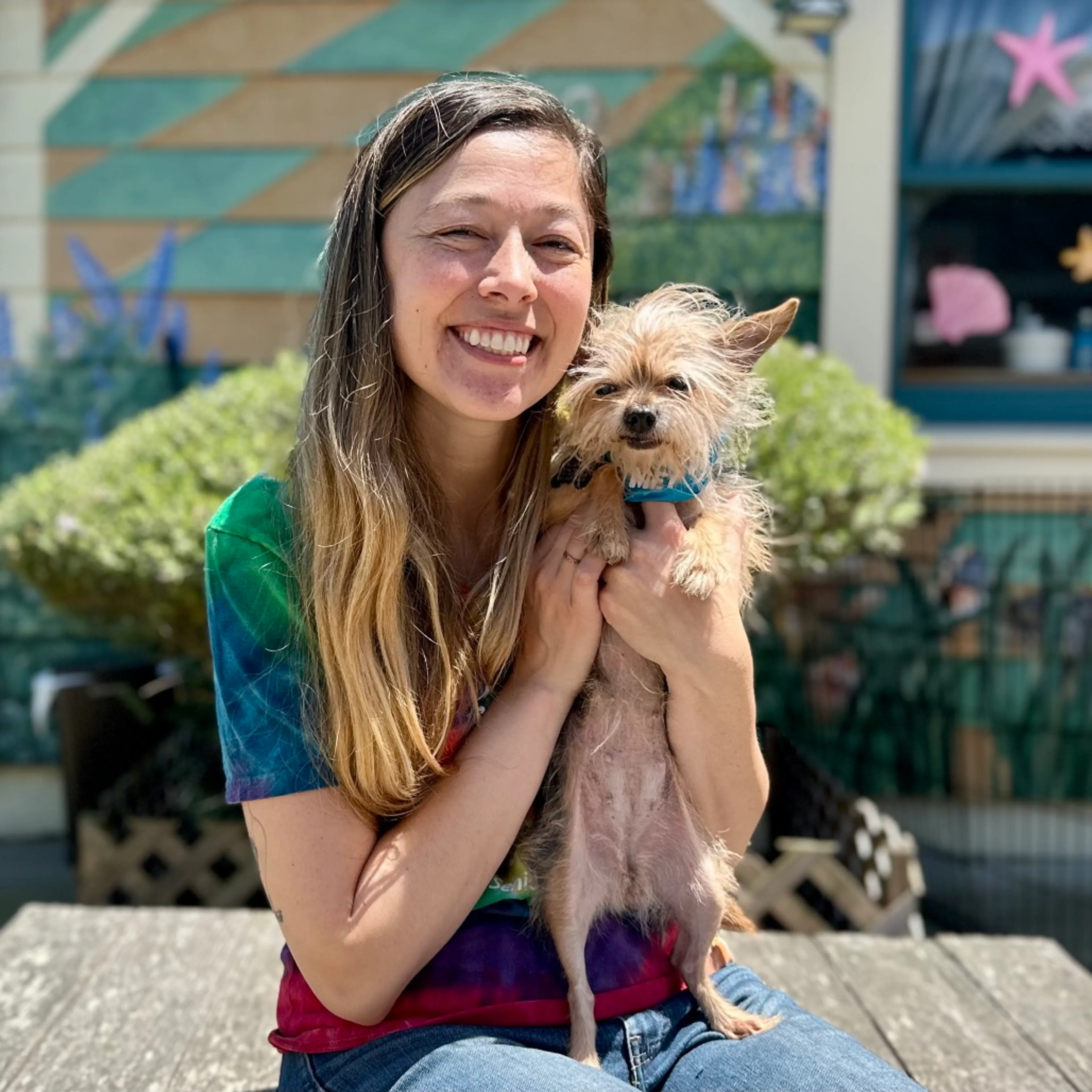 Found pet-3