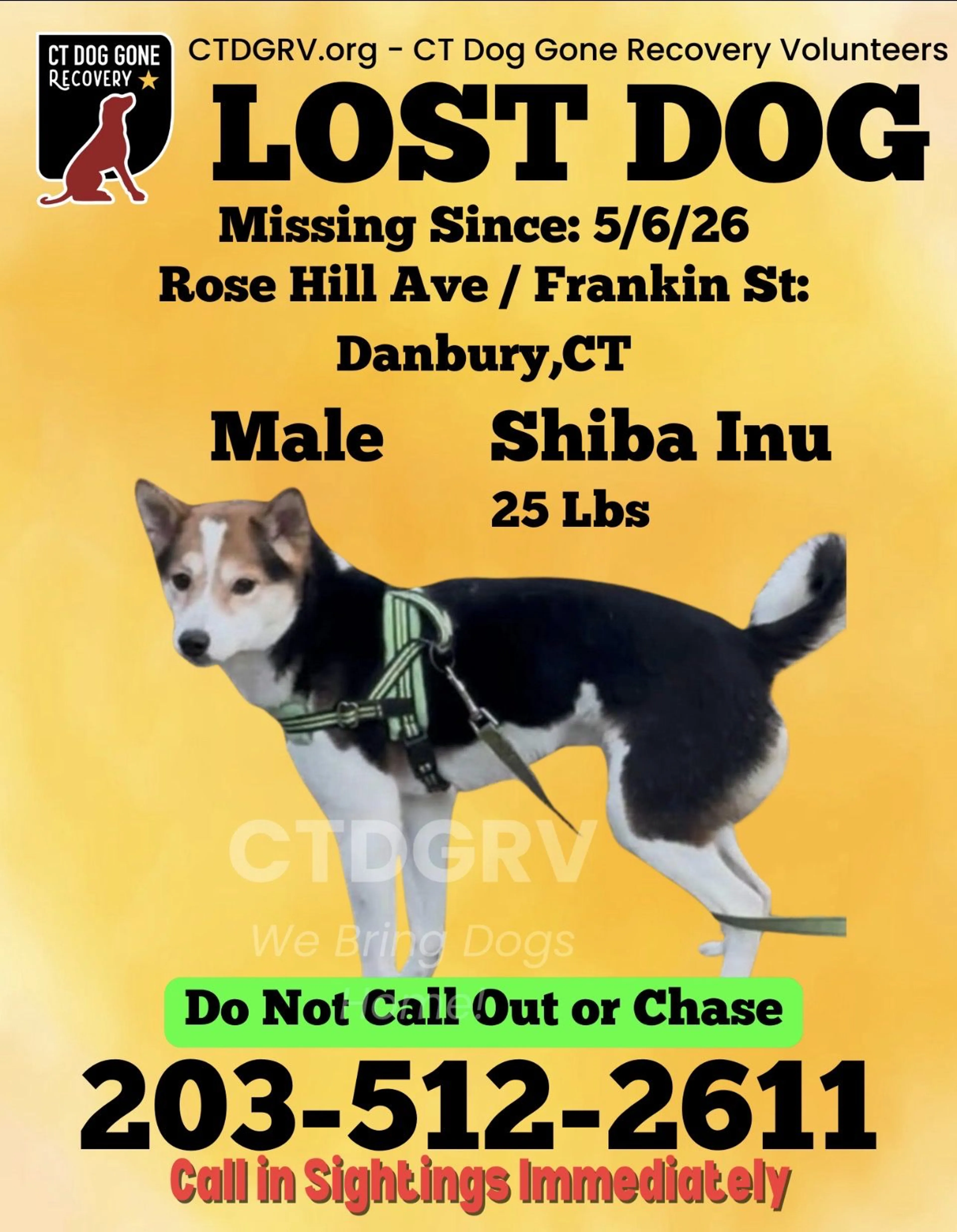 Lost pet