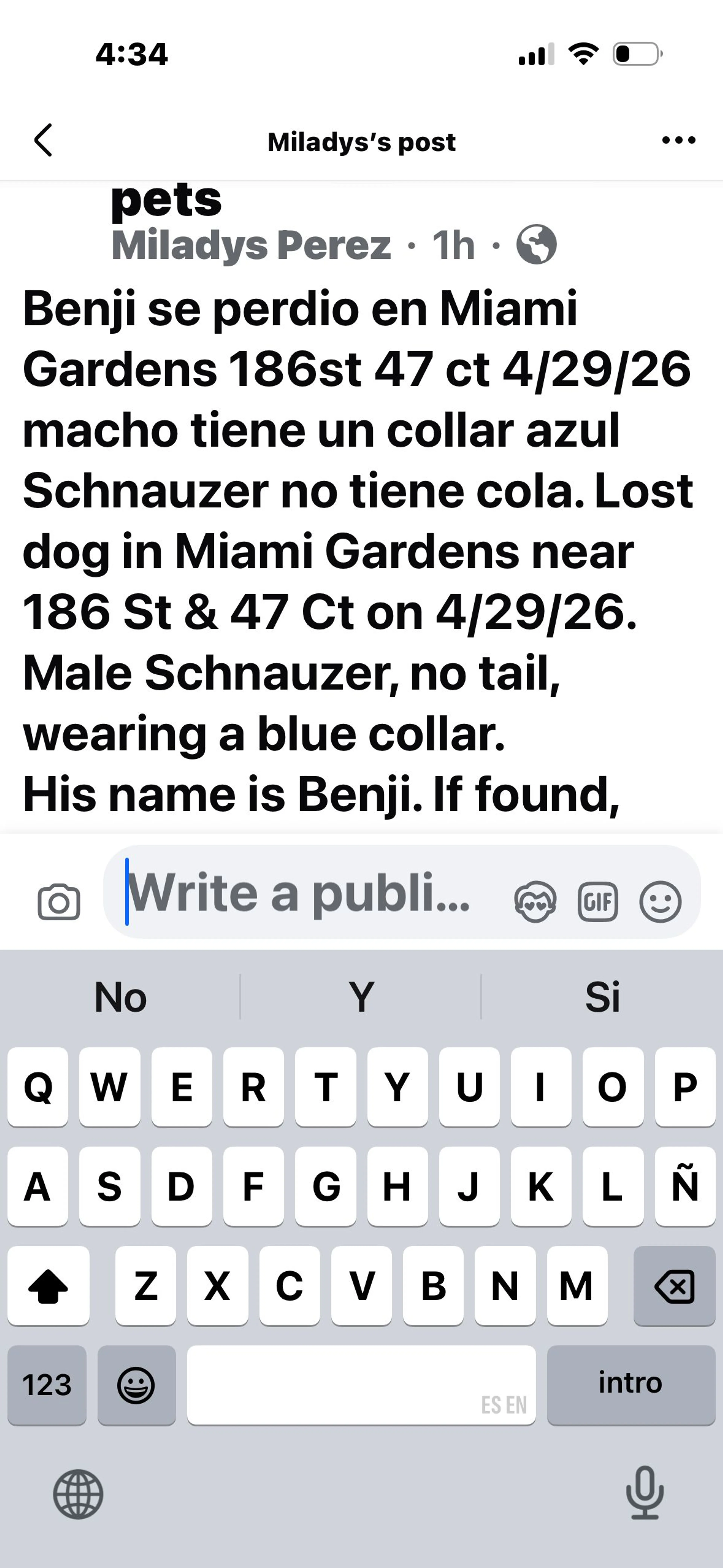 Lost pet-1