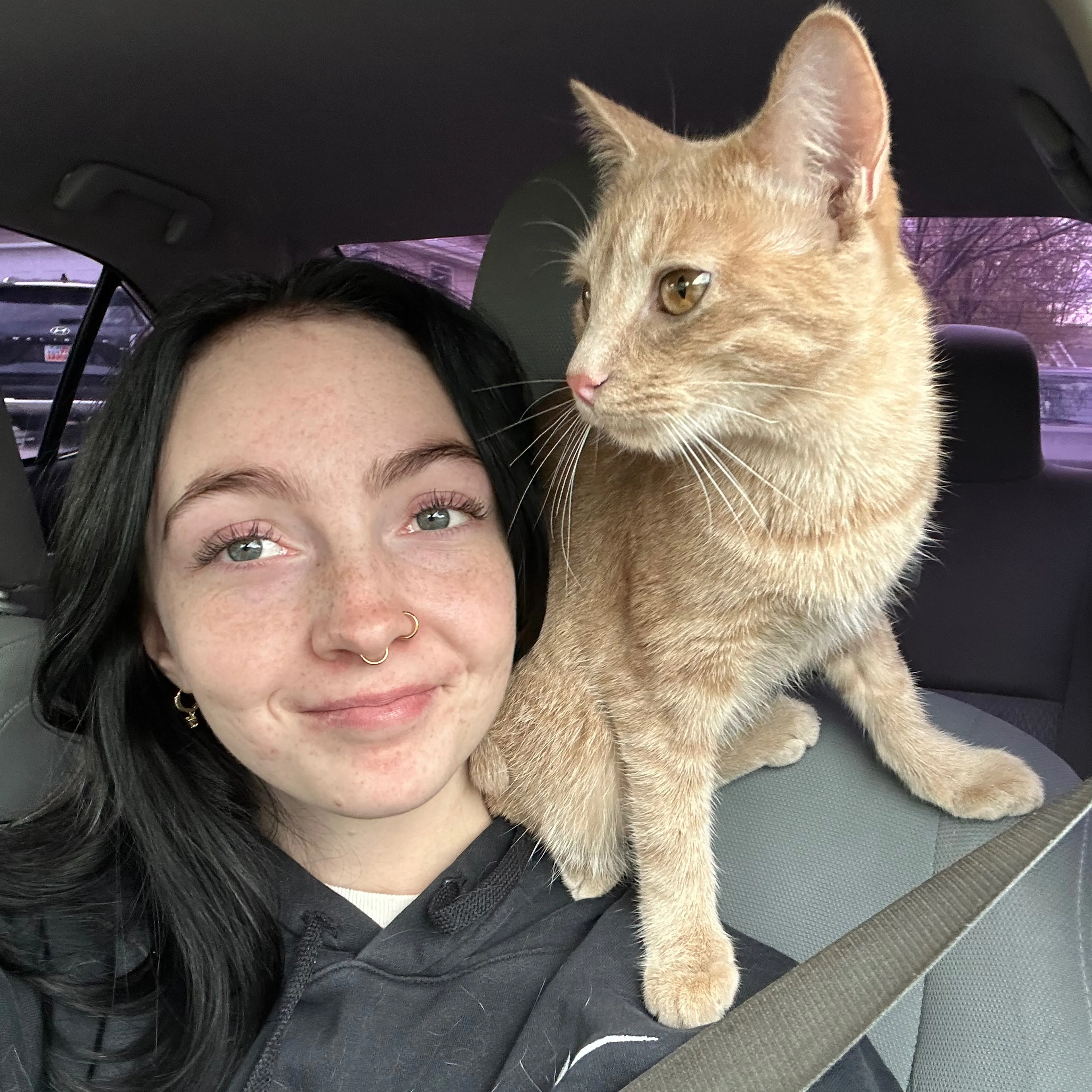 Lost pet-3