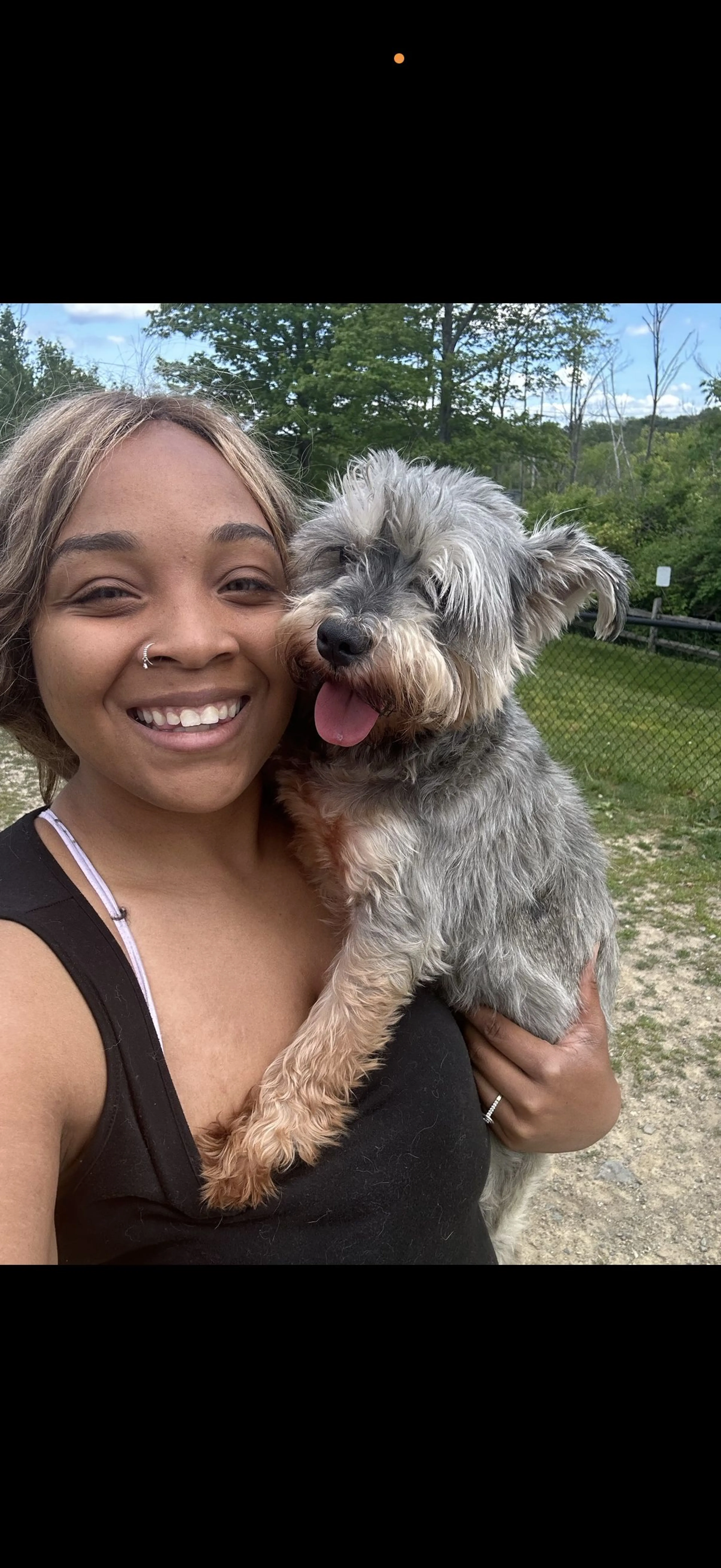 Lost pet