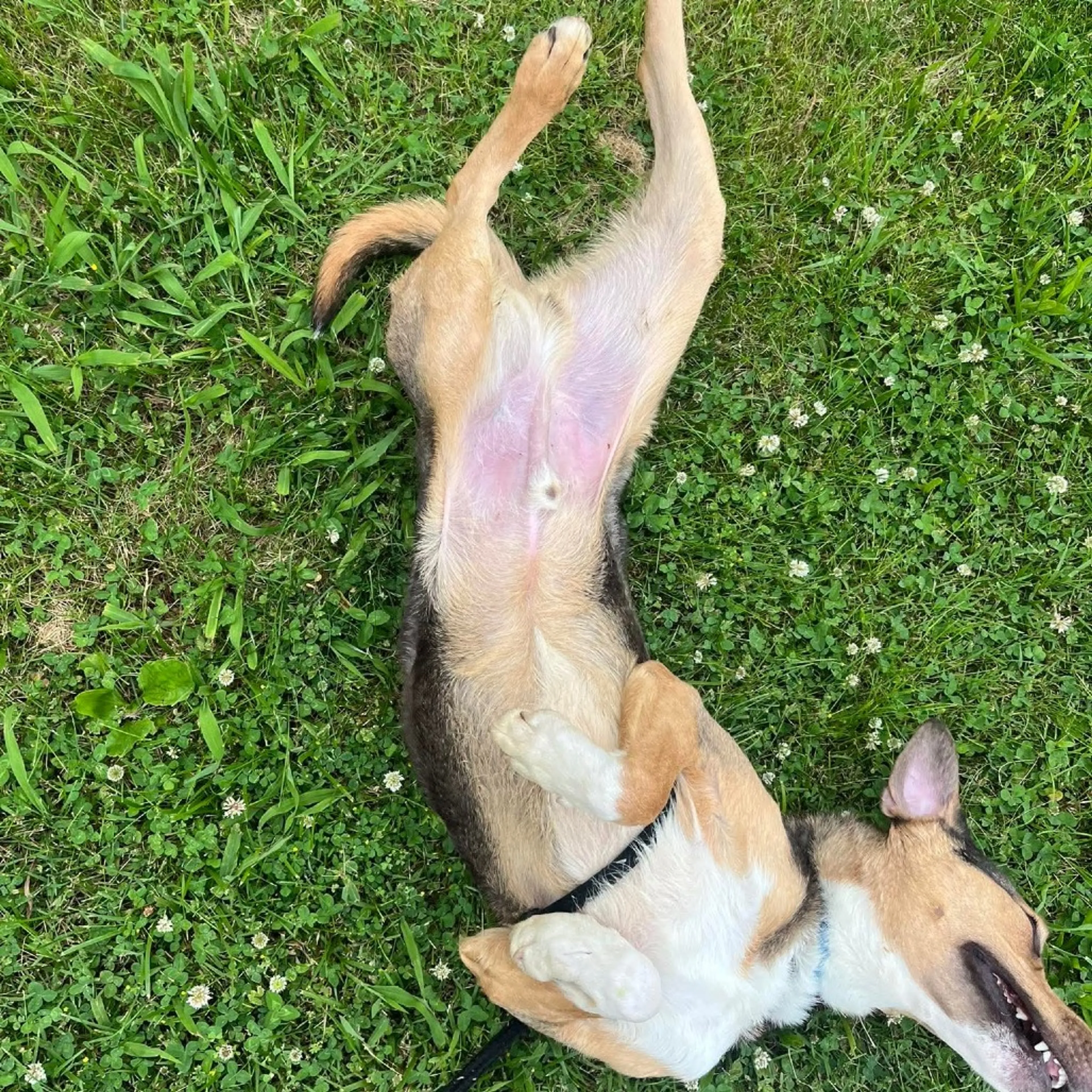 -32