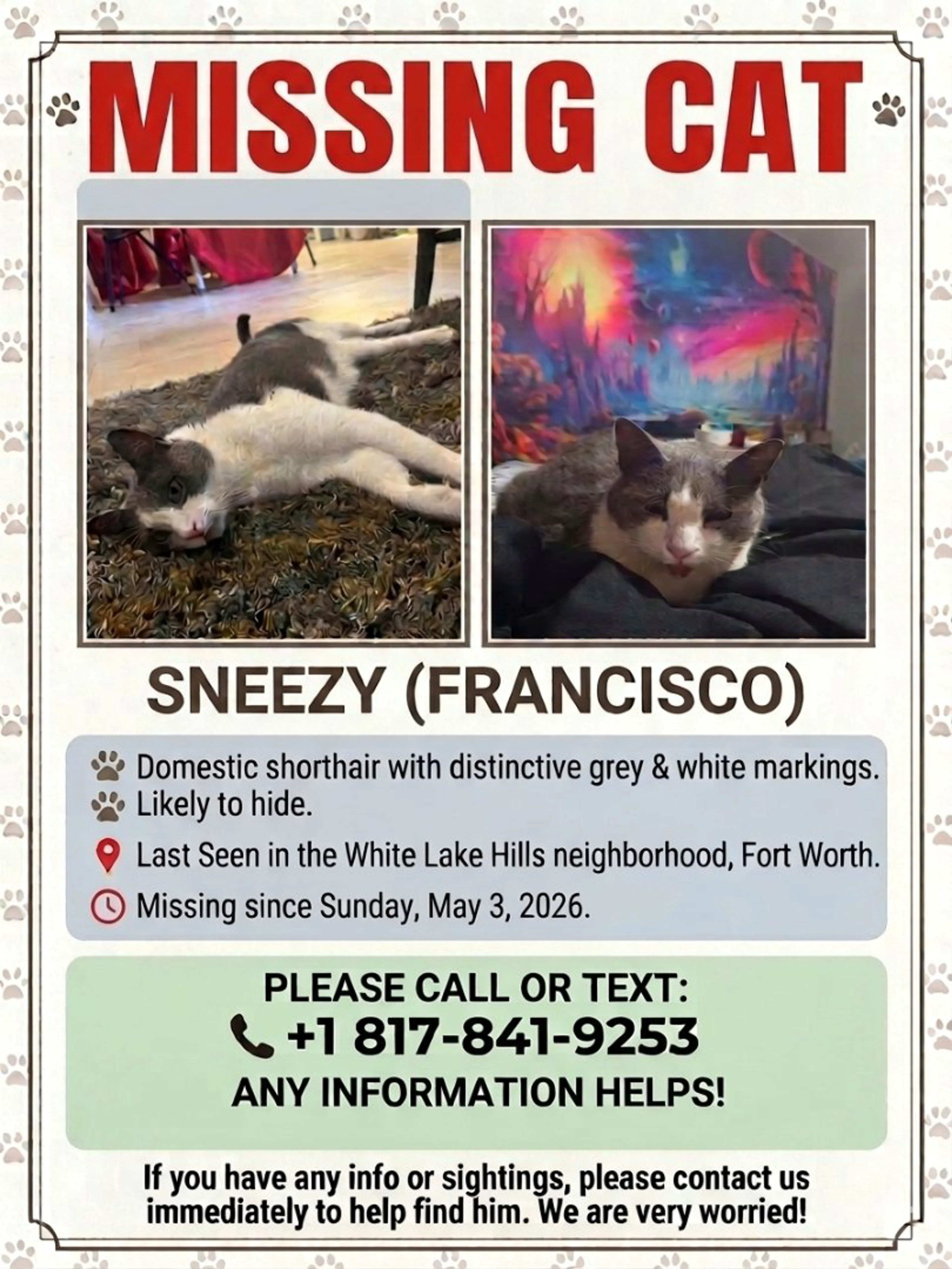Lost pet