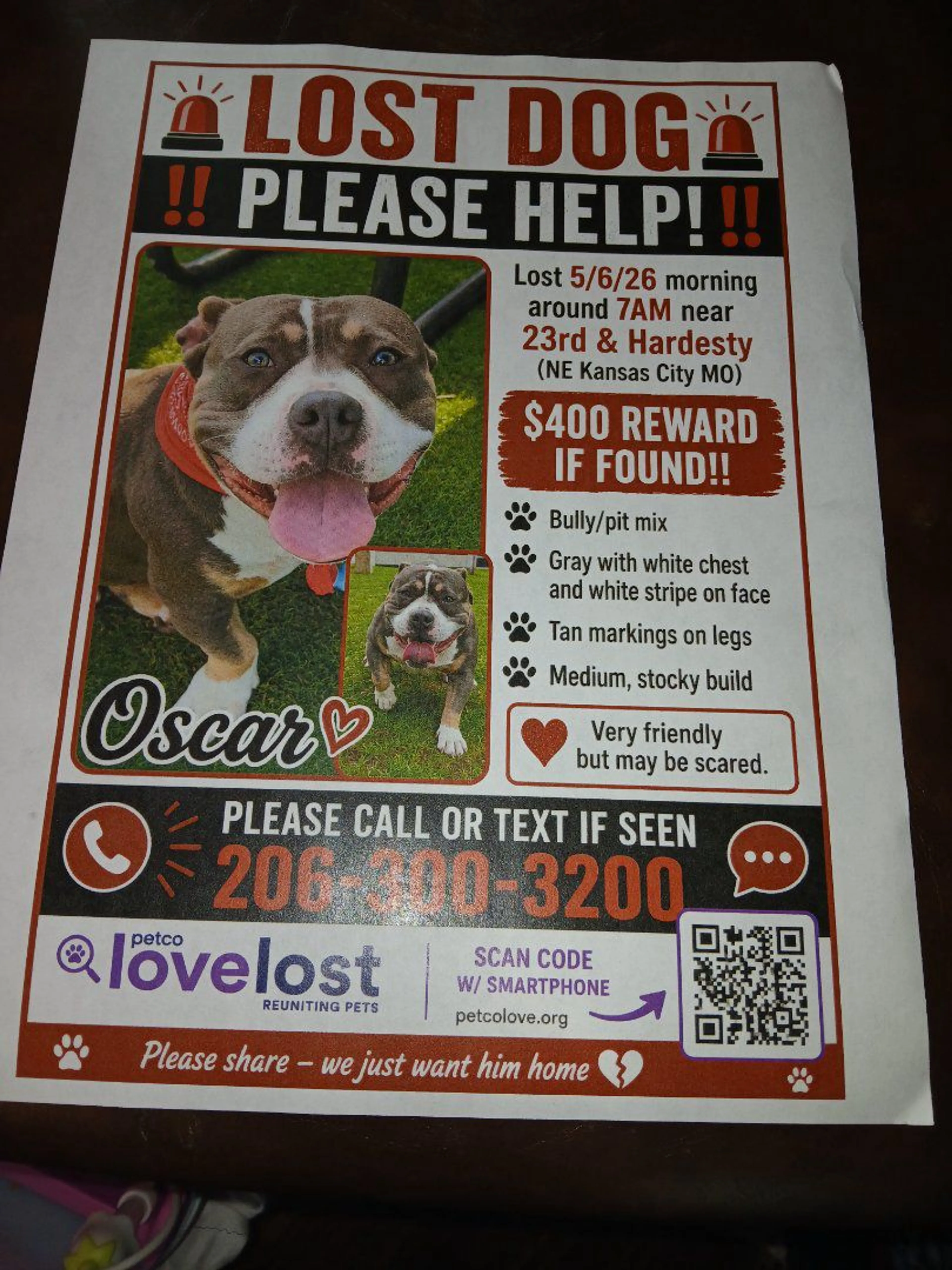 Lost pet