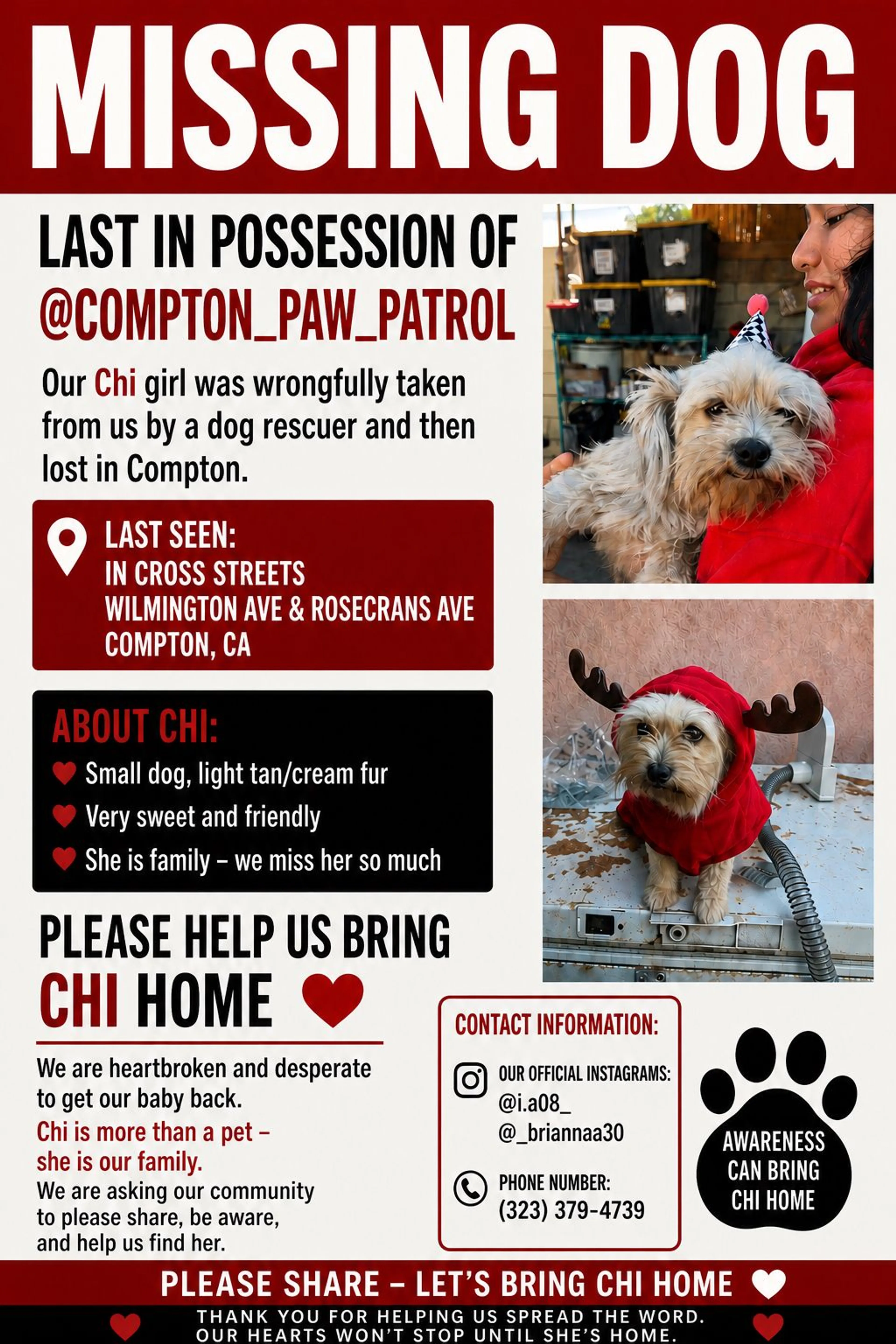 Lost pet