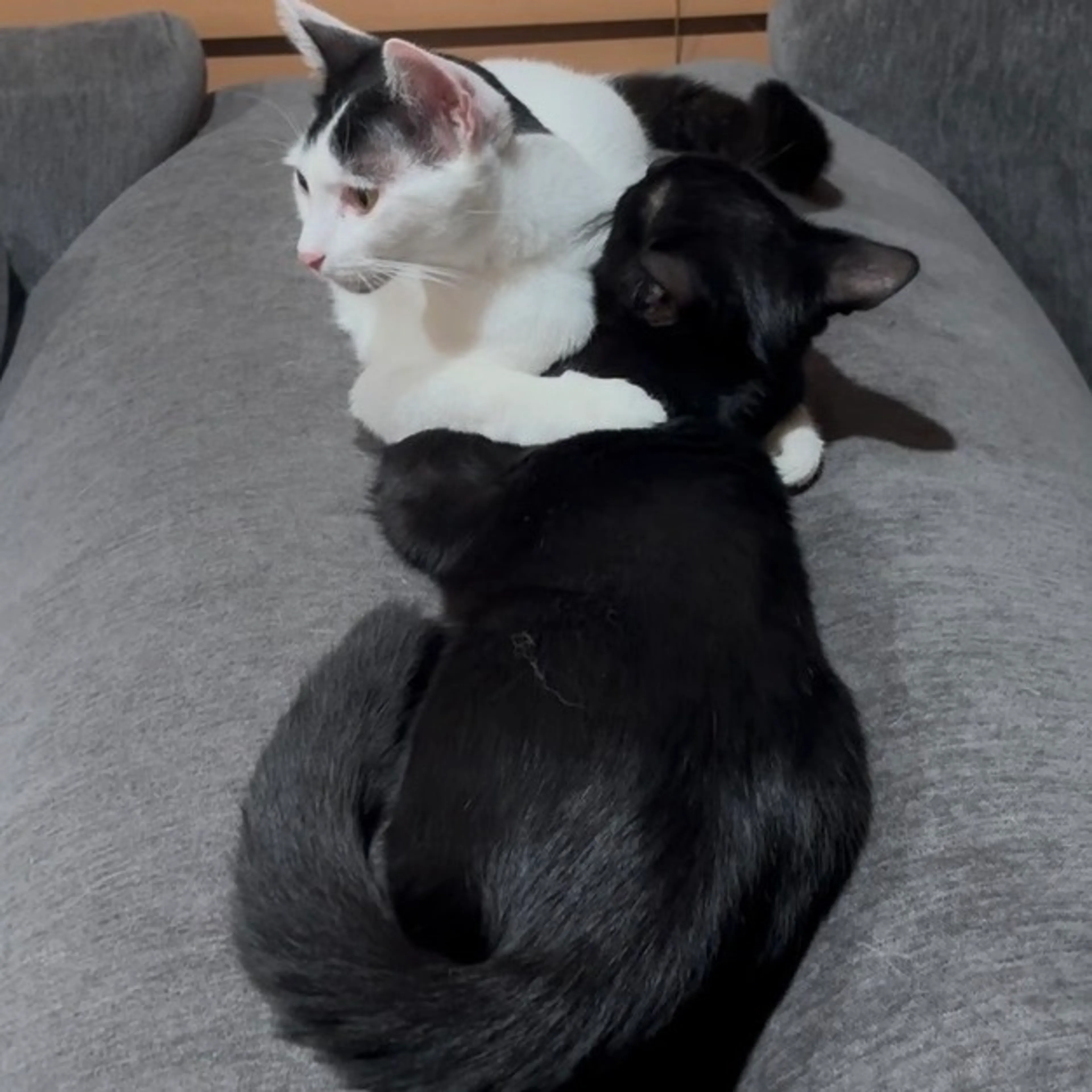 -3
