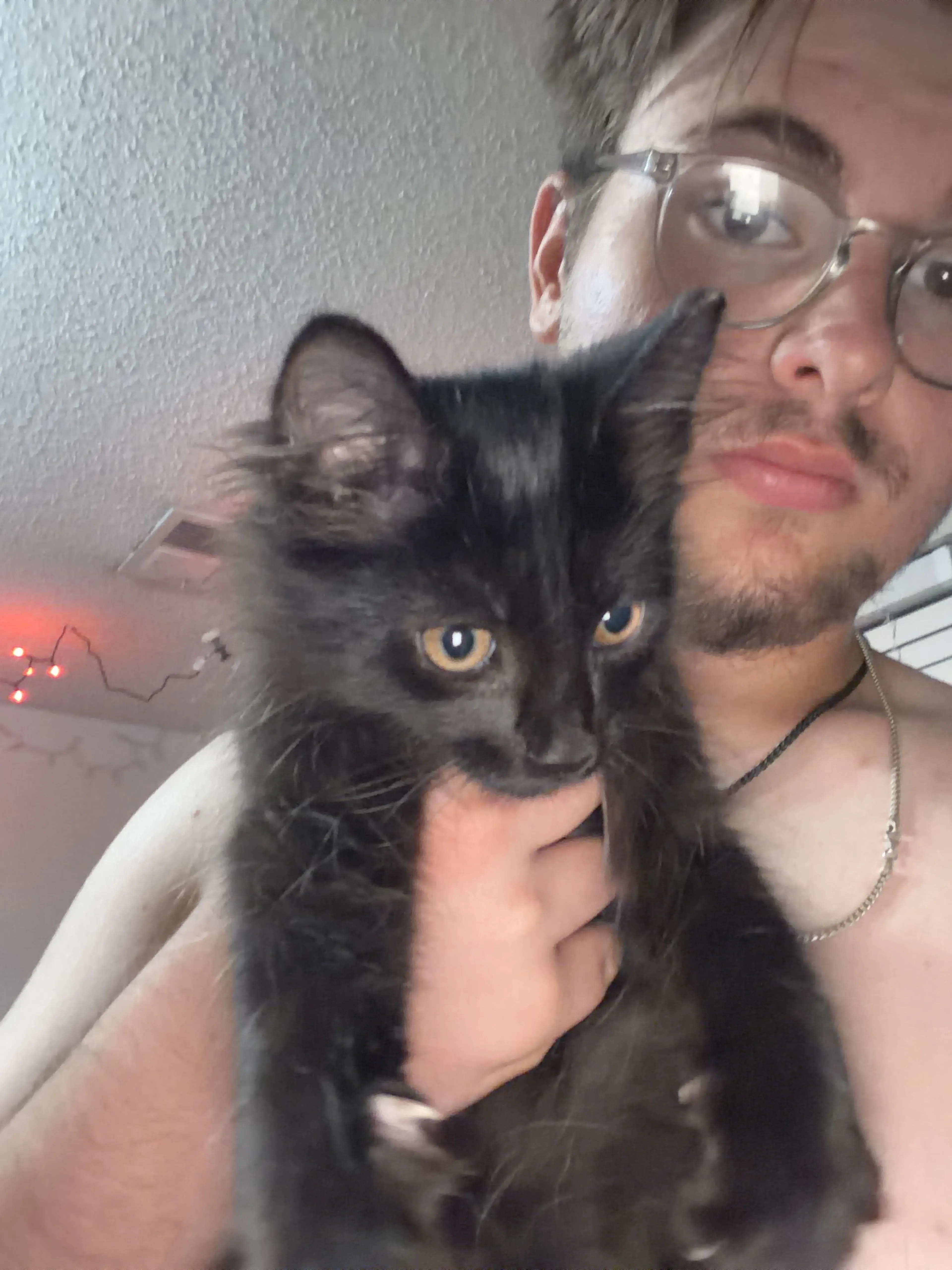 Lost pet-3