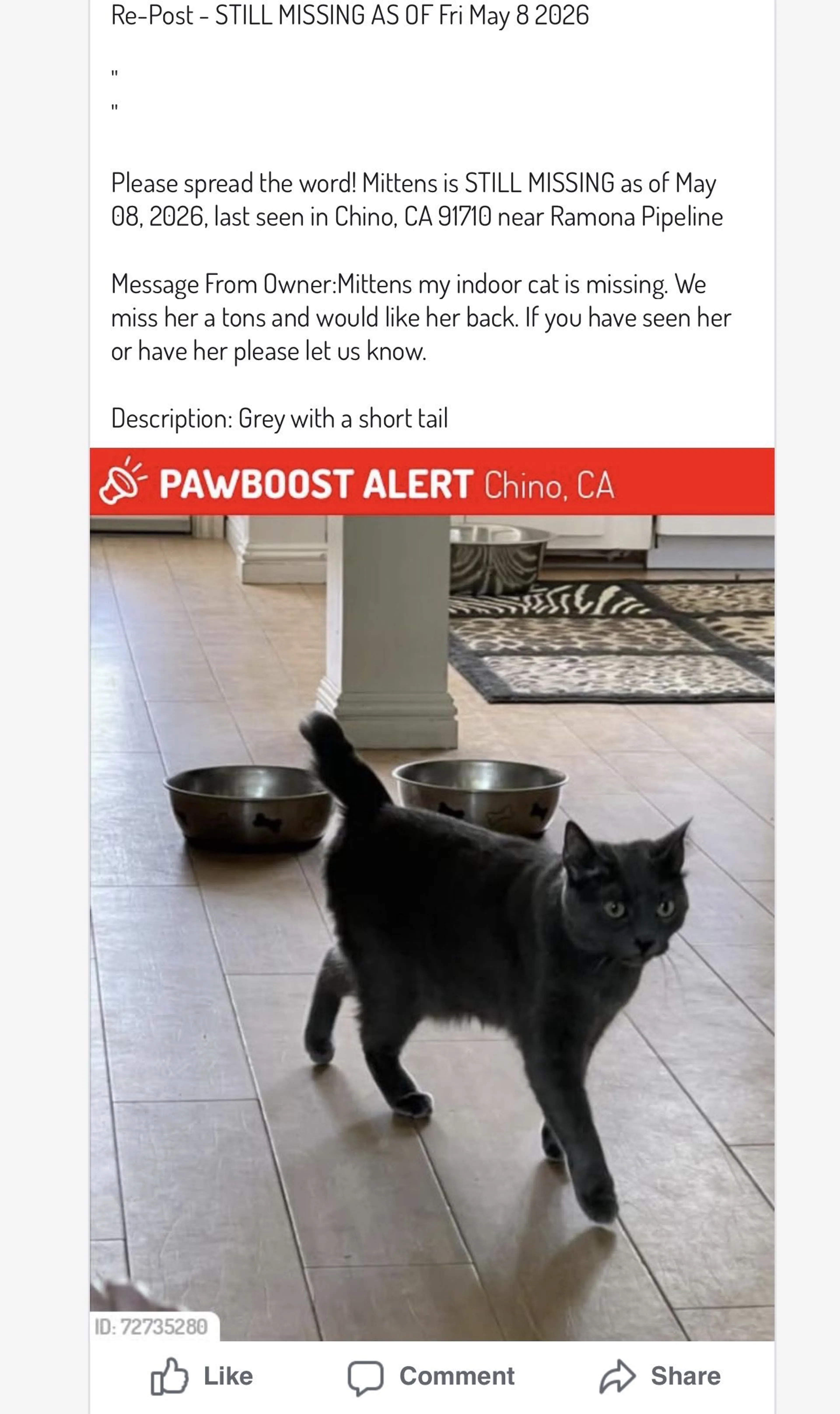 Lost pet-0