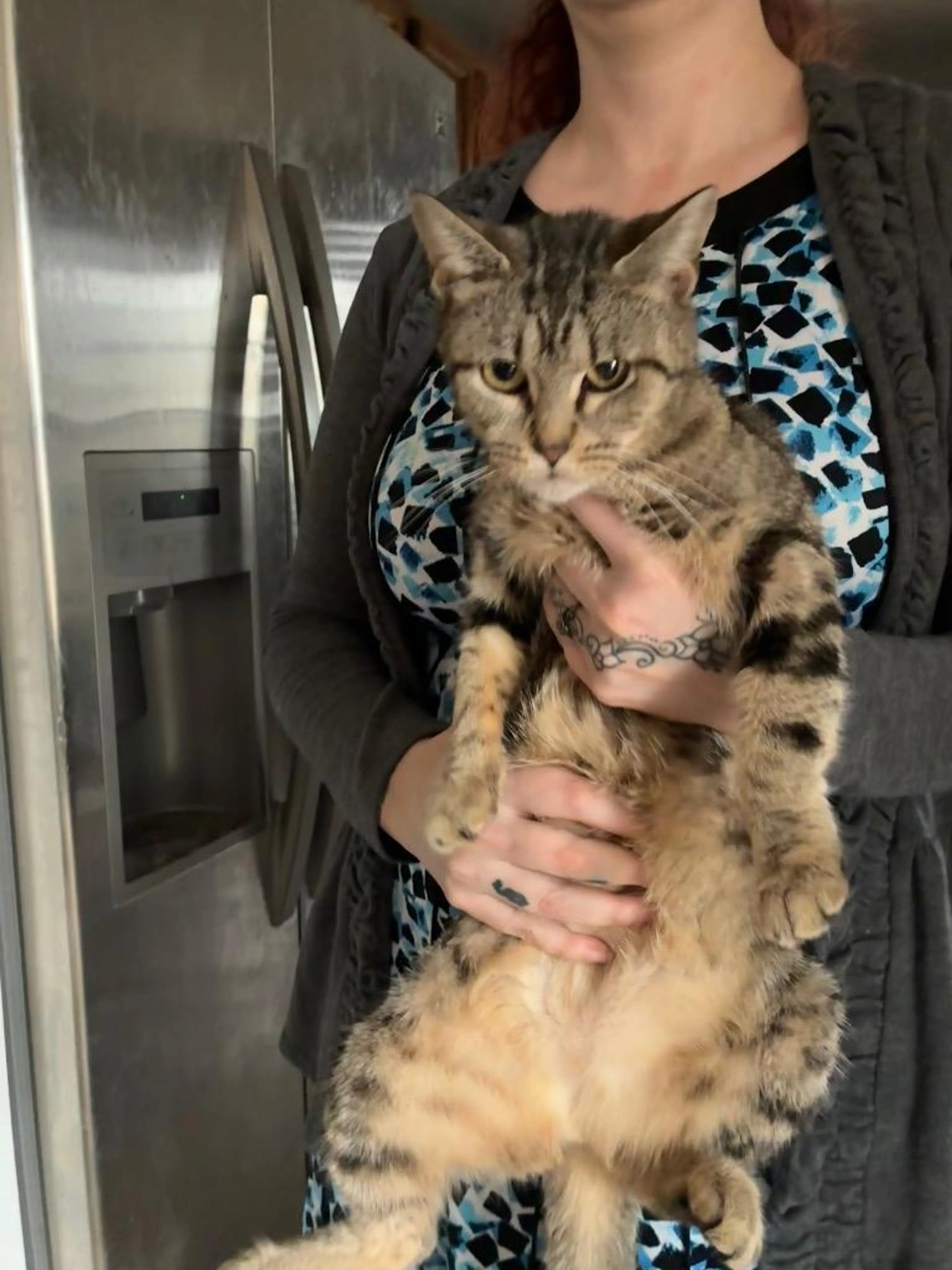 Found pet-1
