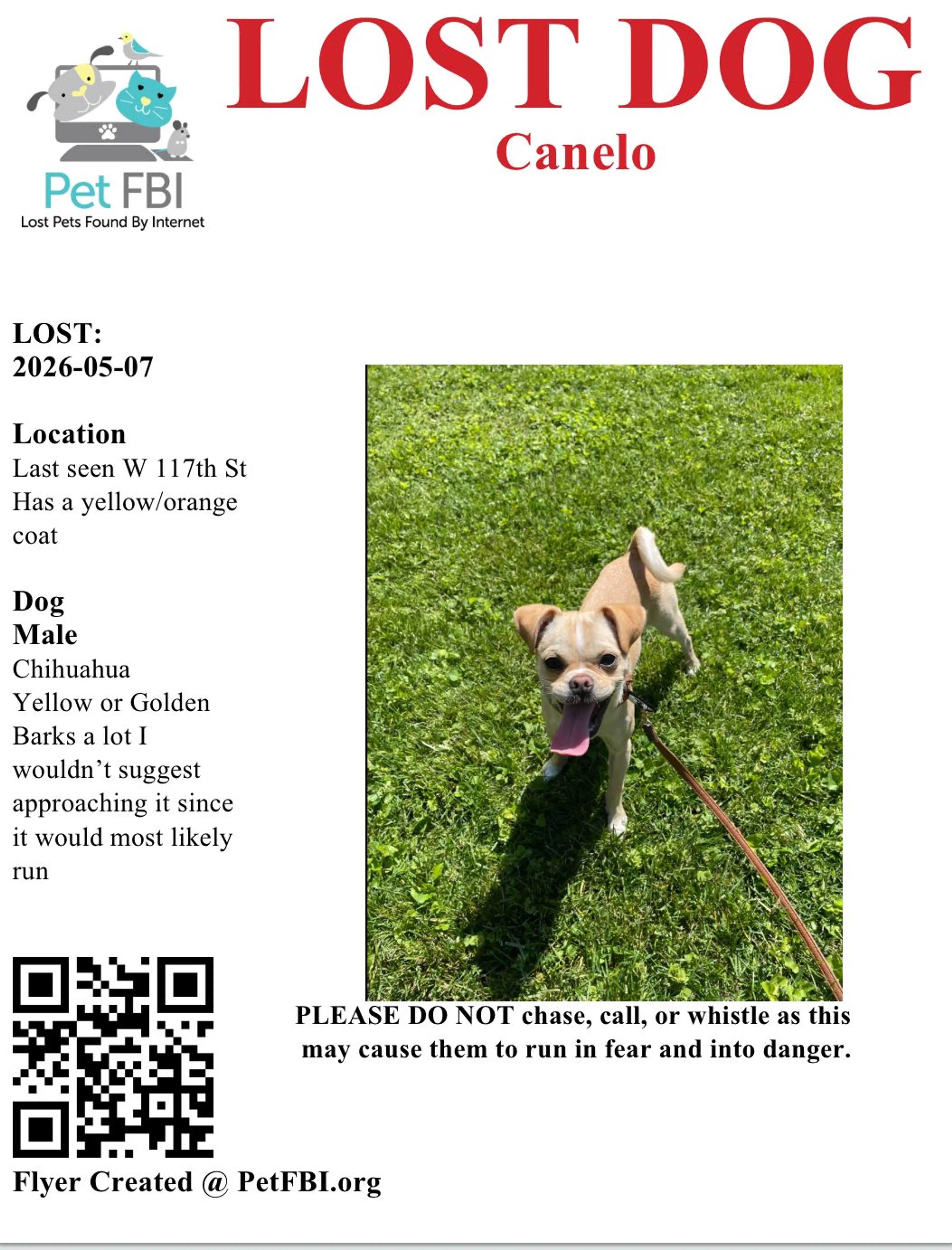 Lost pet