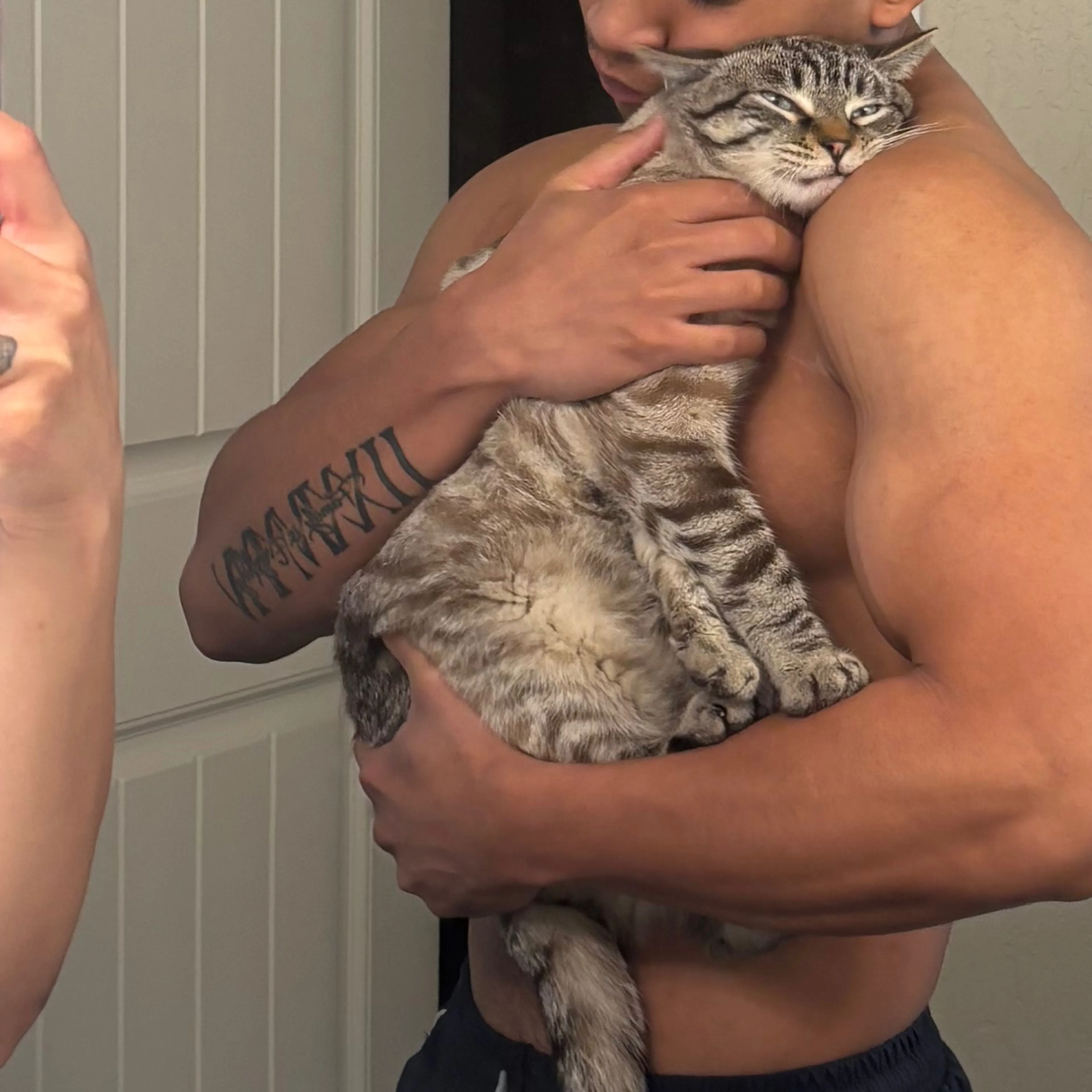 Lost pet-1