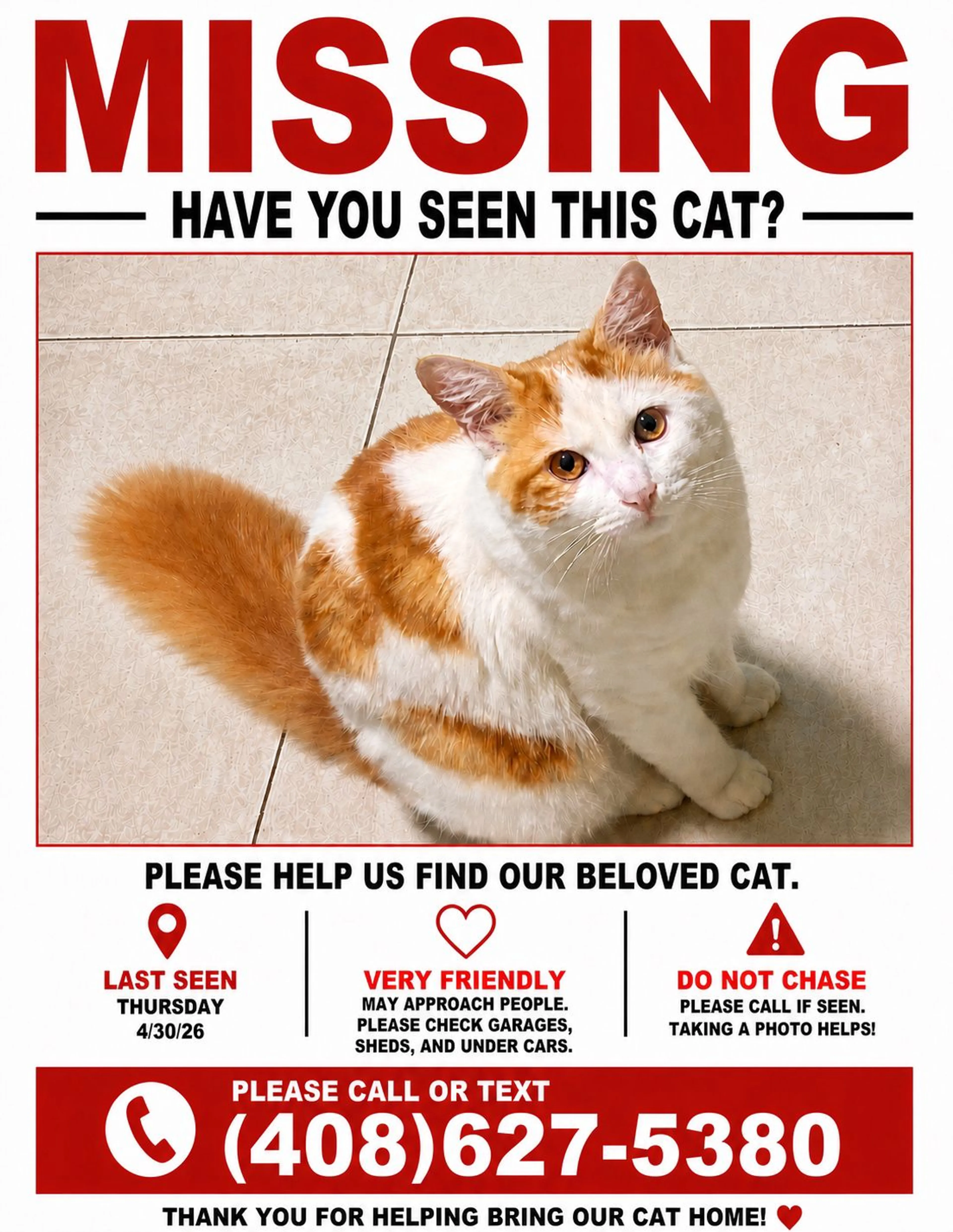 Lost pet-0