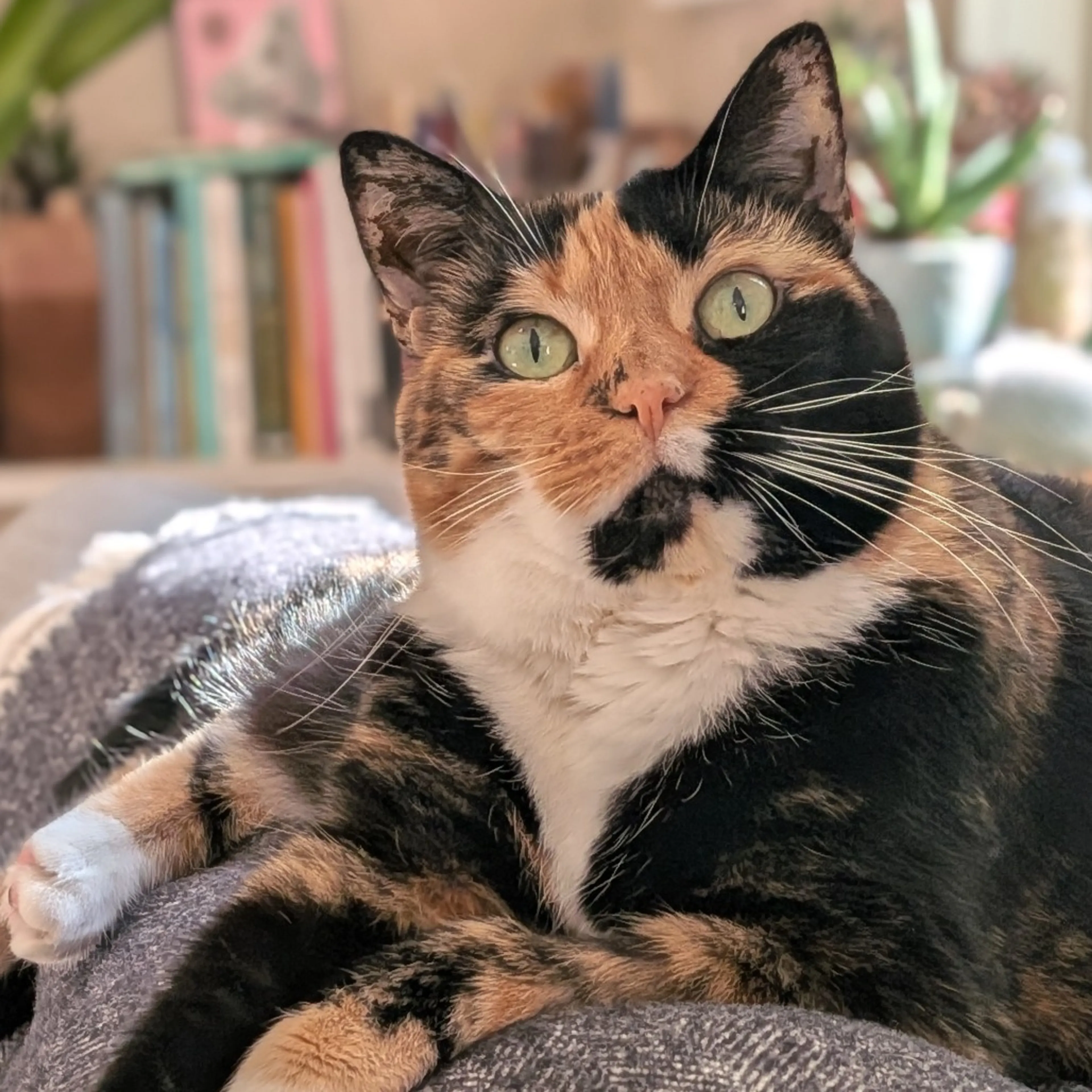 -3
