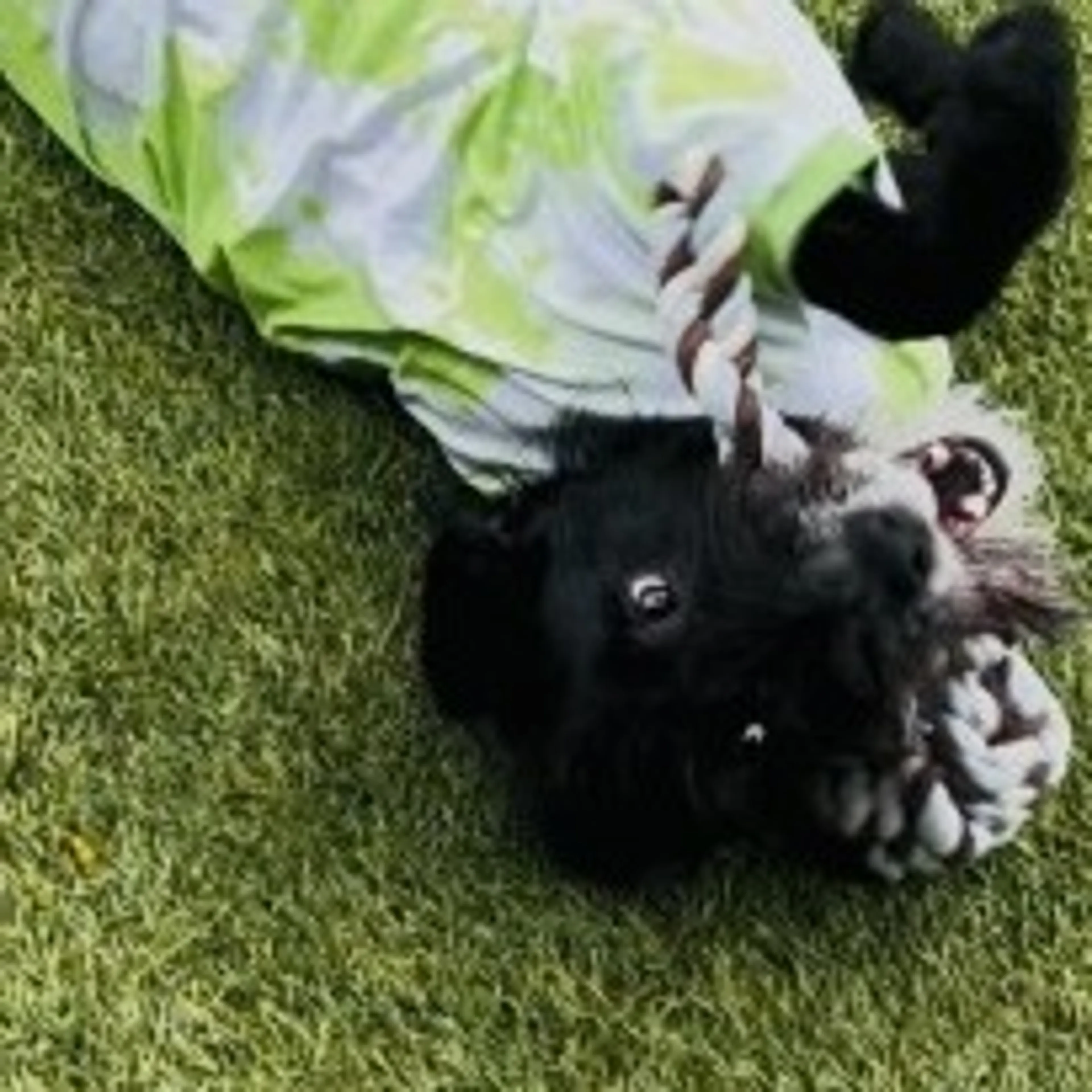 -19