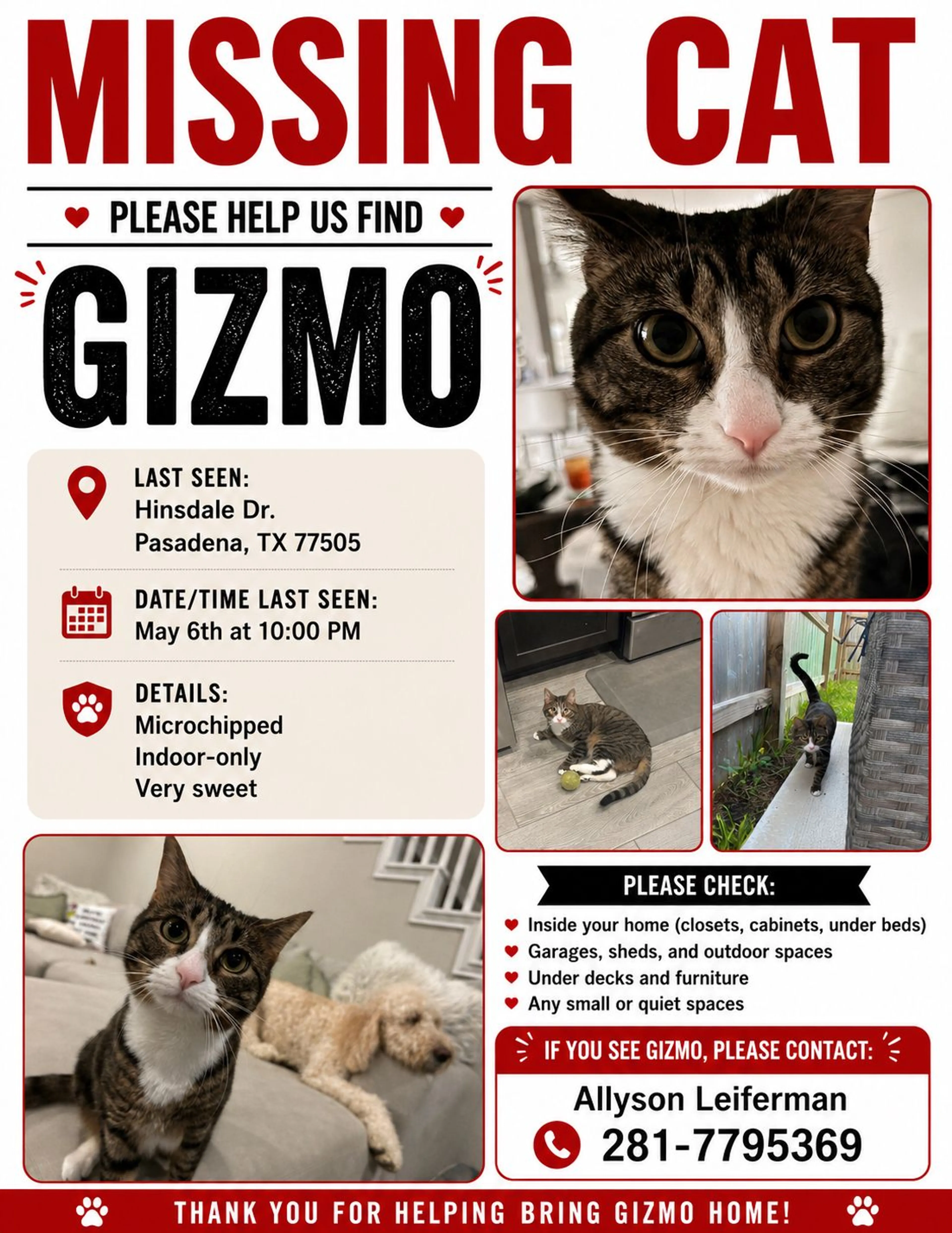 Lost pet