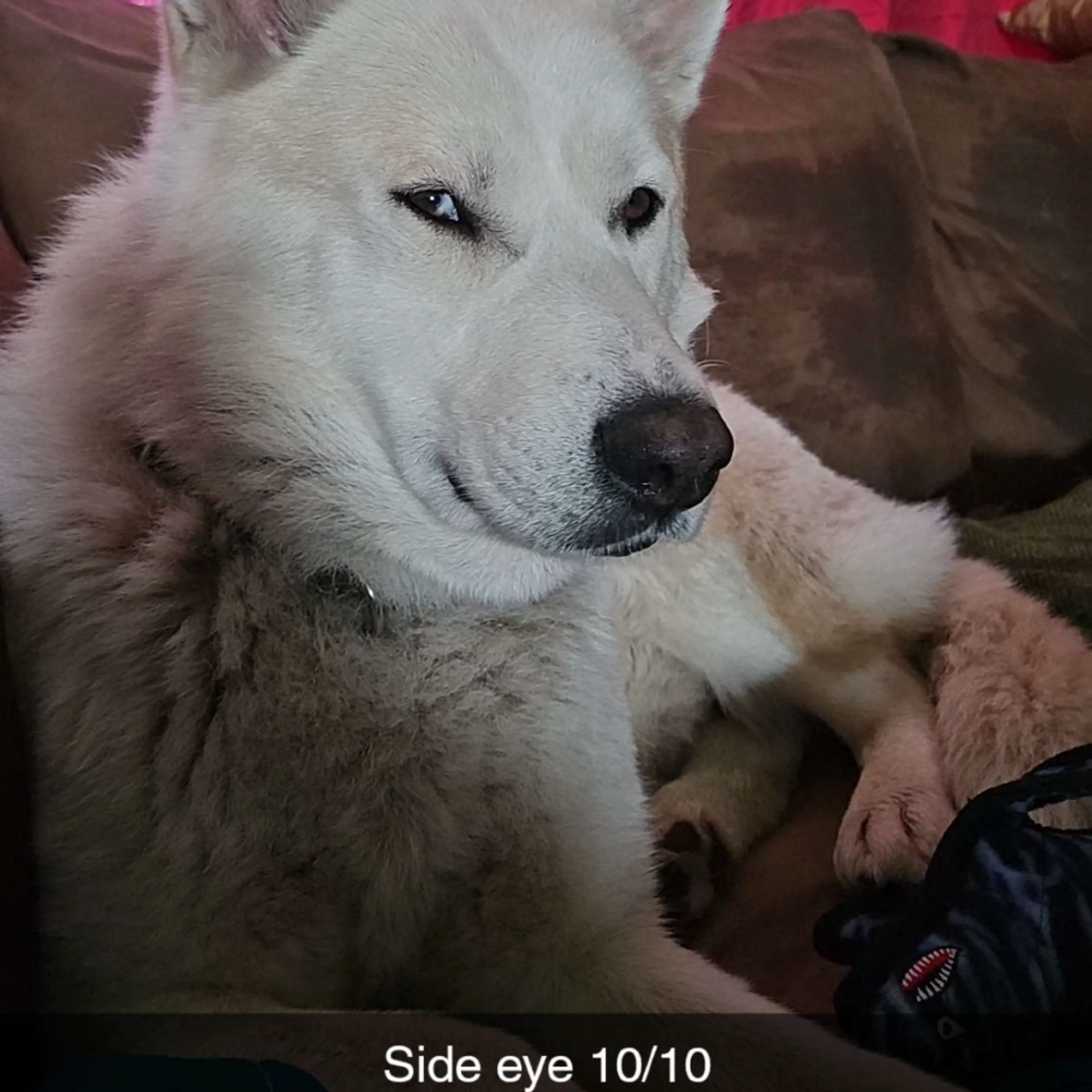 -29