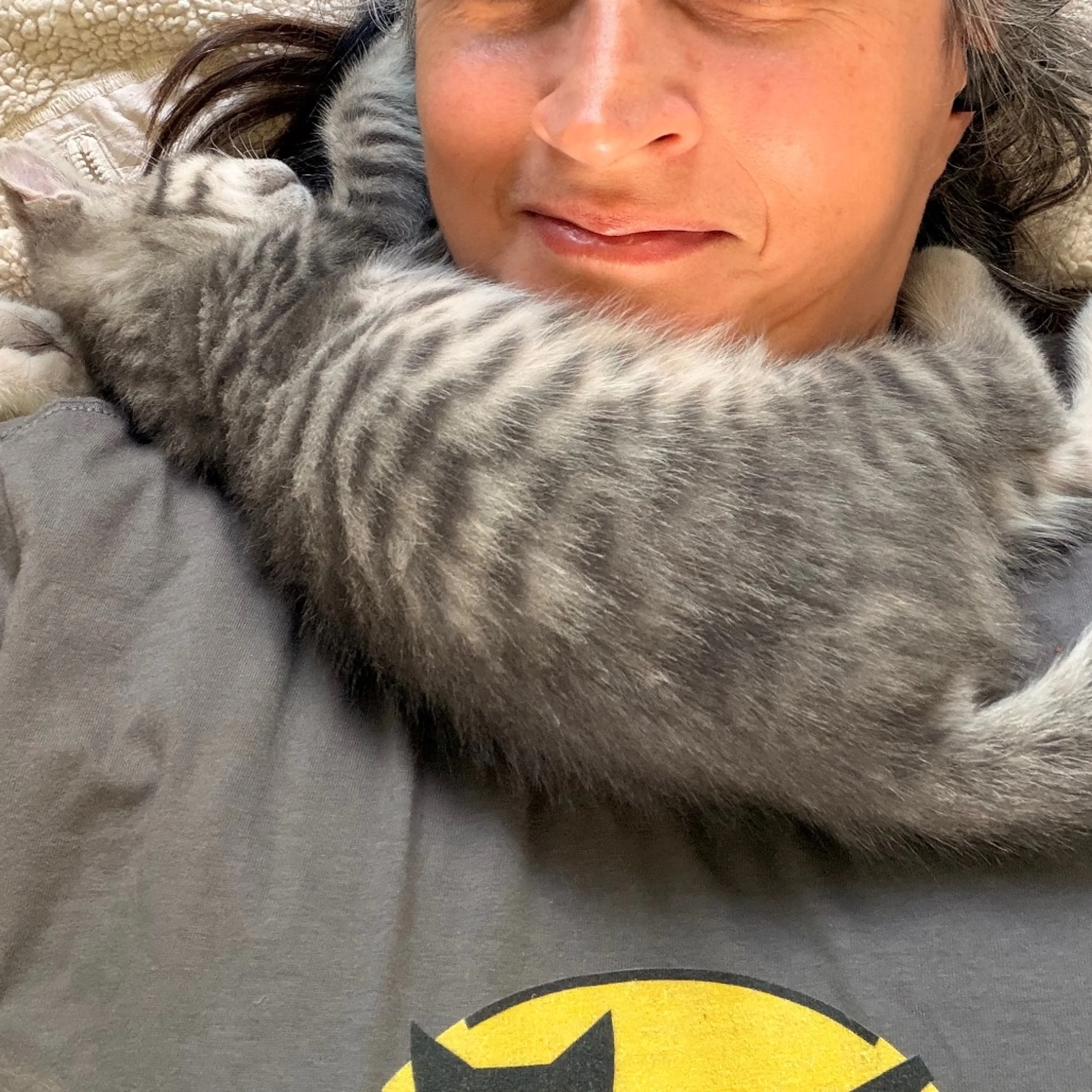Found pet-5