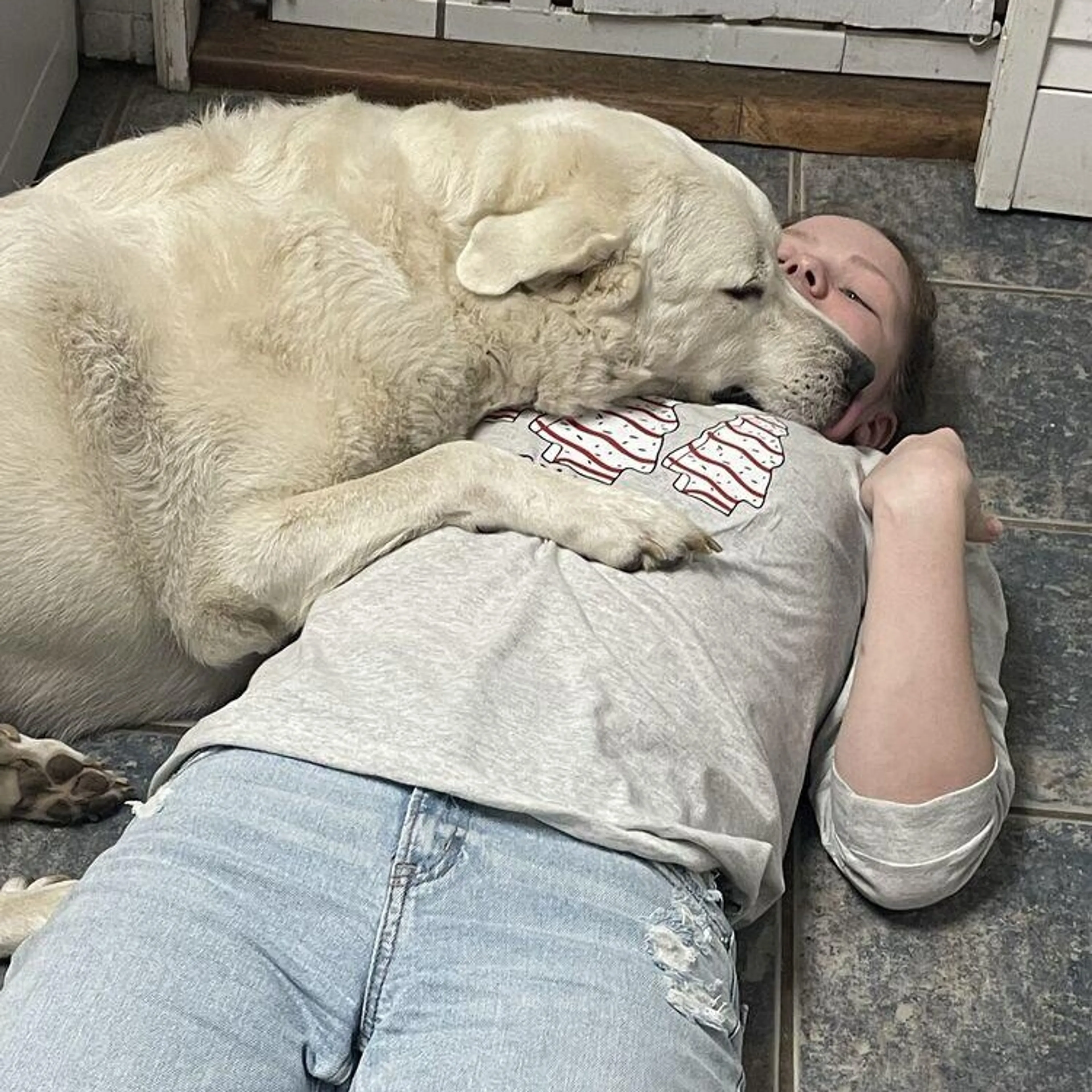 Found pet-0