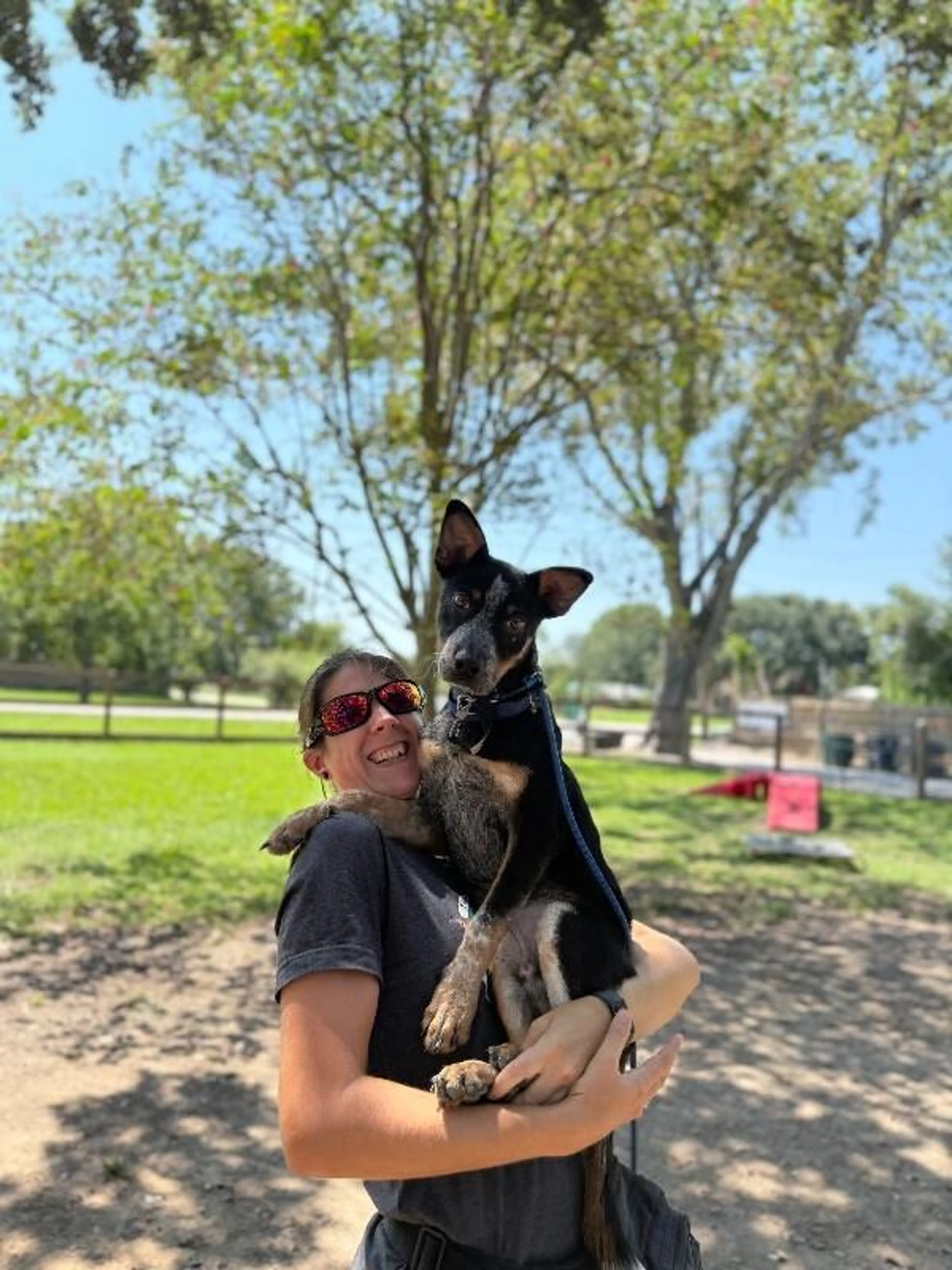 Found pet-1