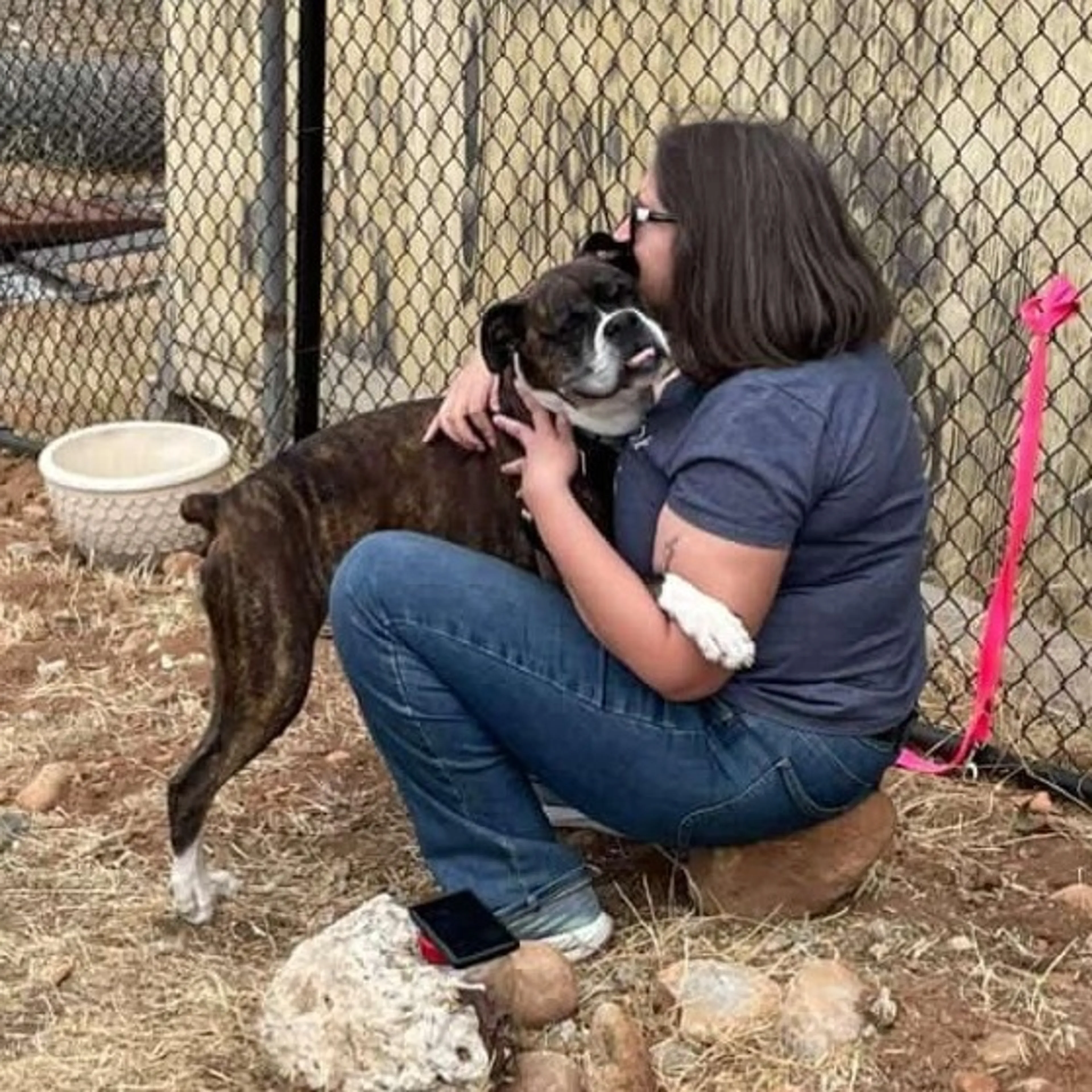 Found pet-2