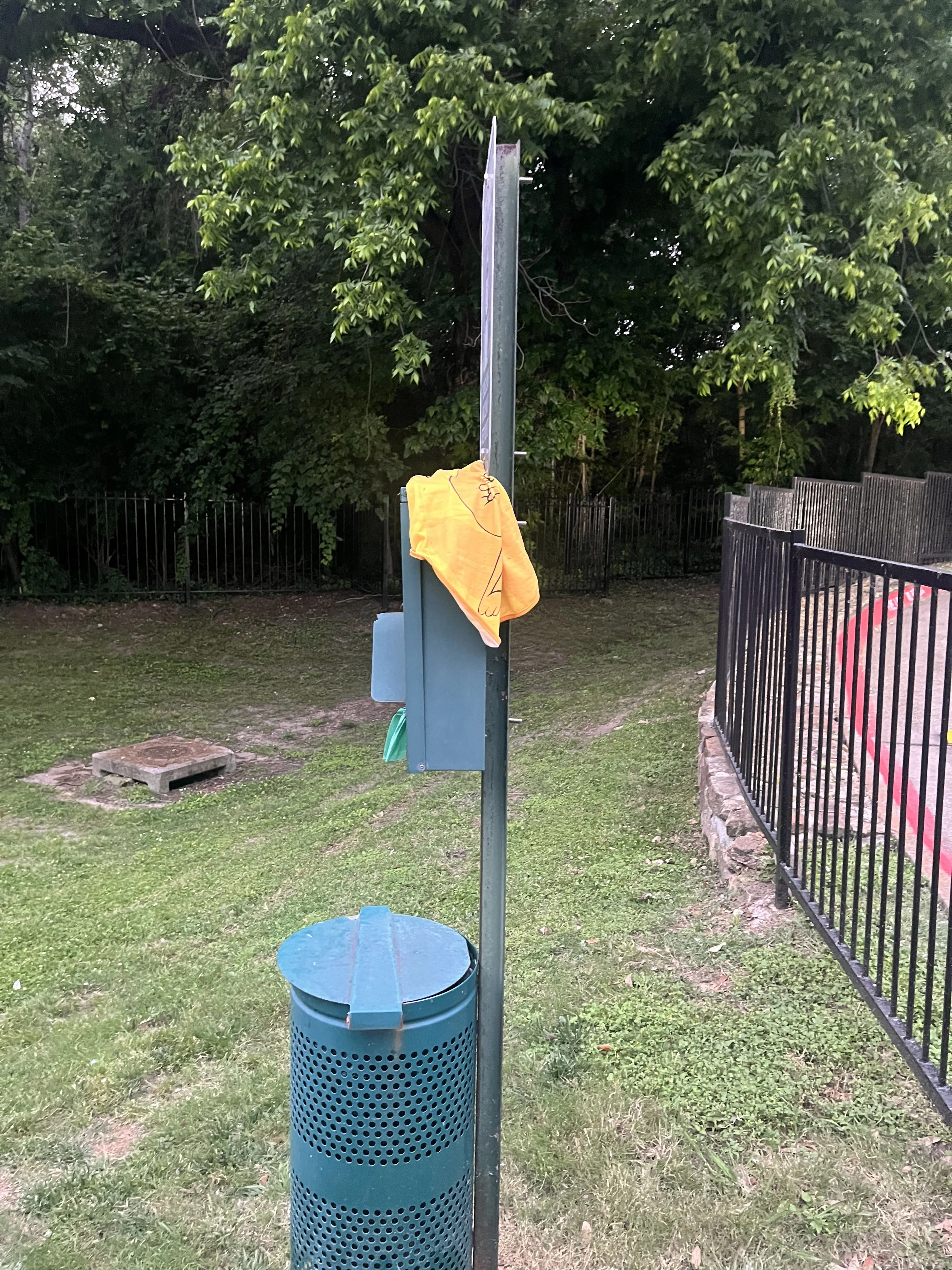 Lost pet-2