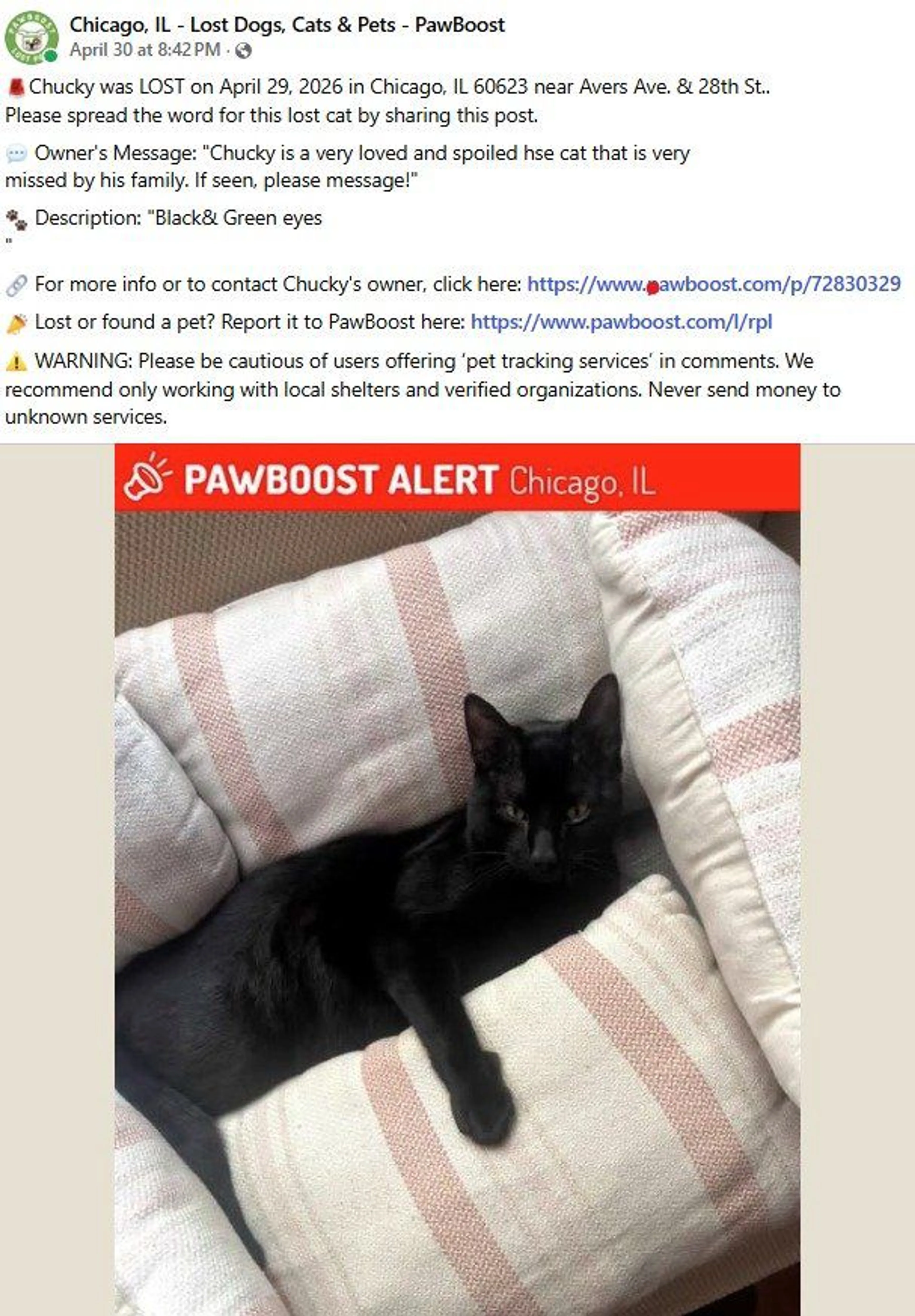 Lost pet