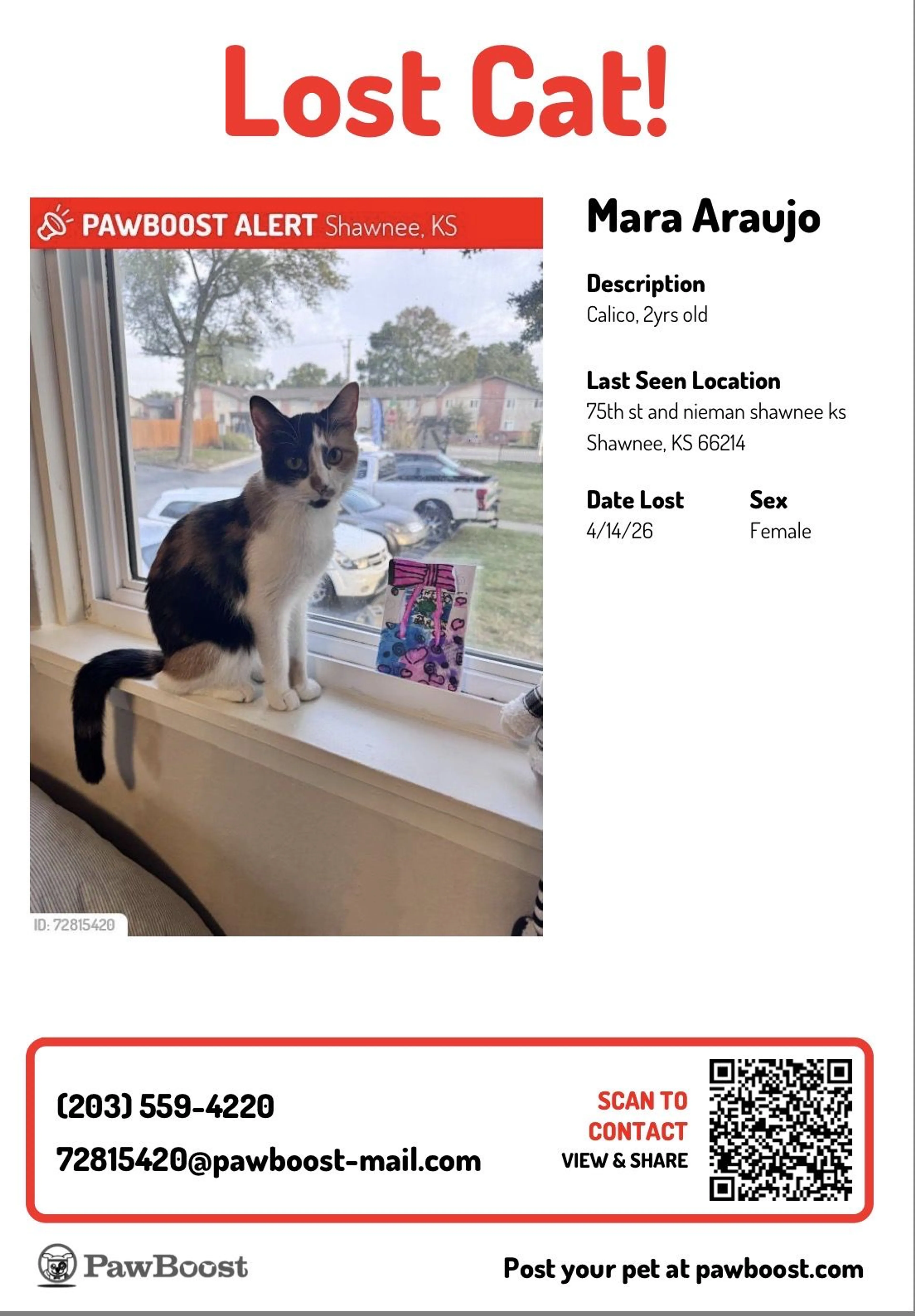 Lost pet-0