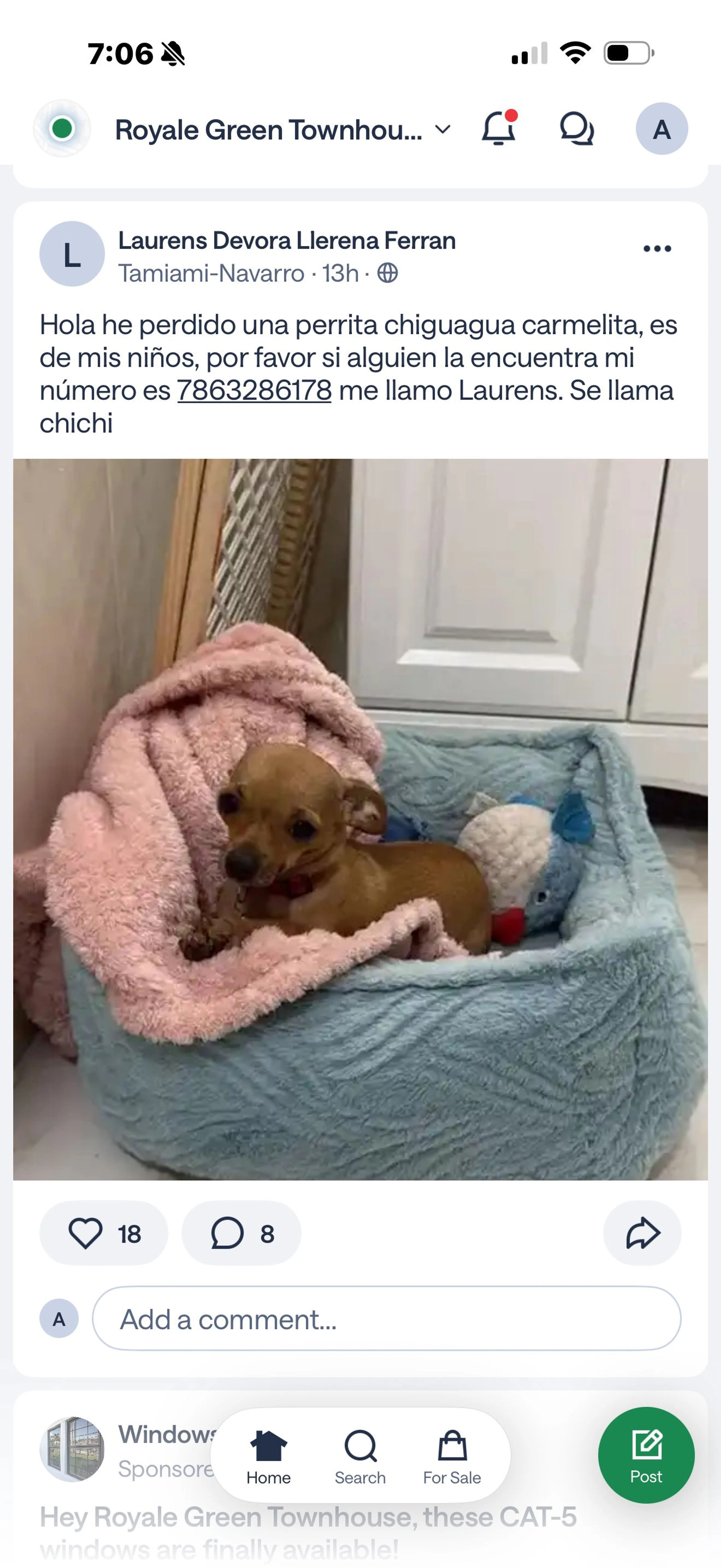 Lost pet