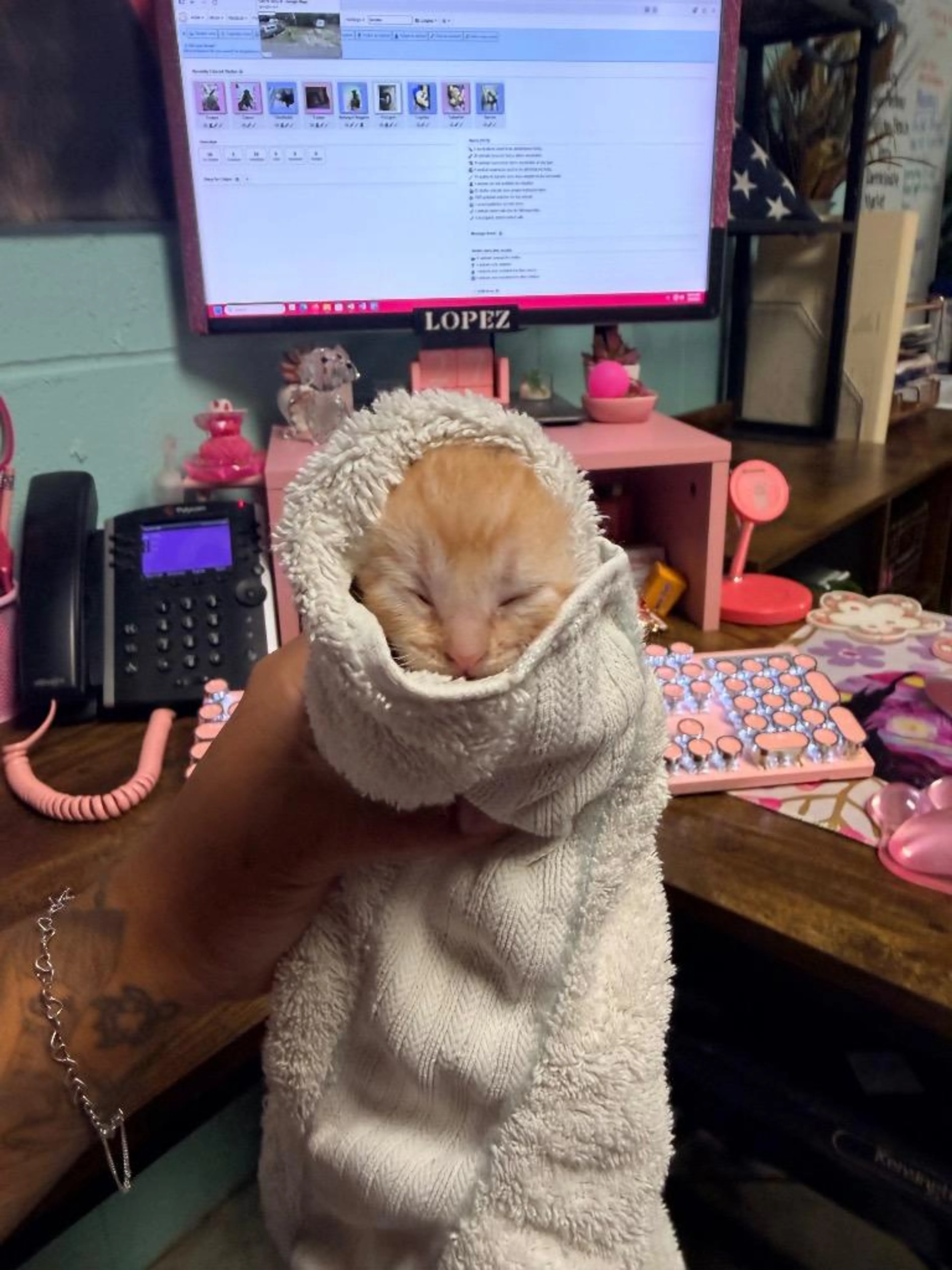 Found pet-2