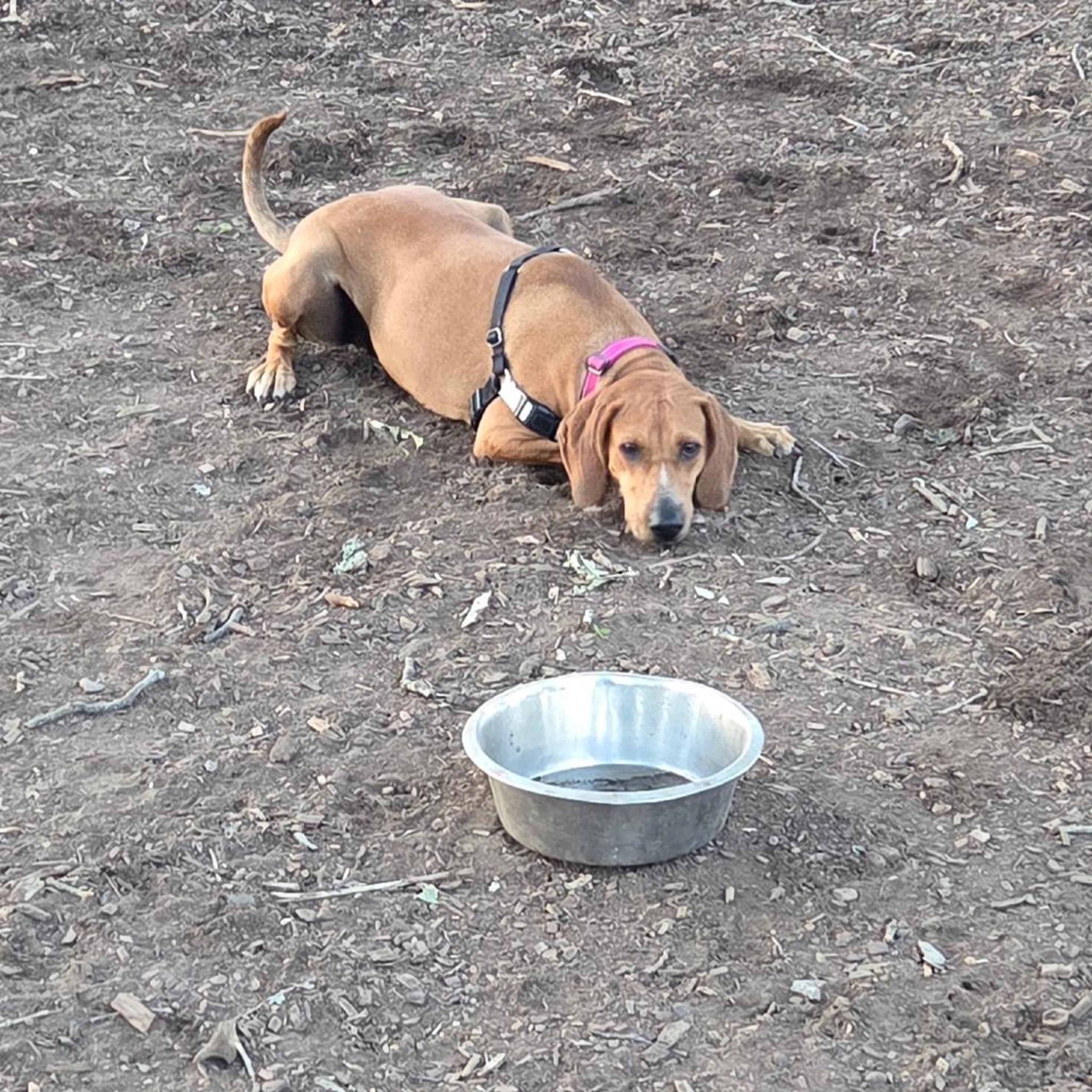 -4