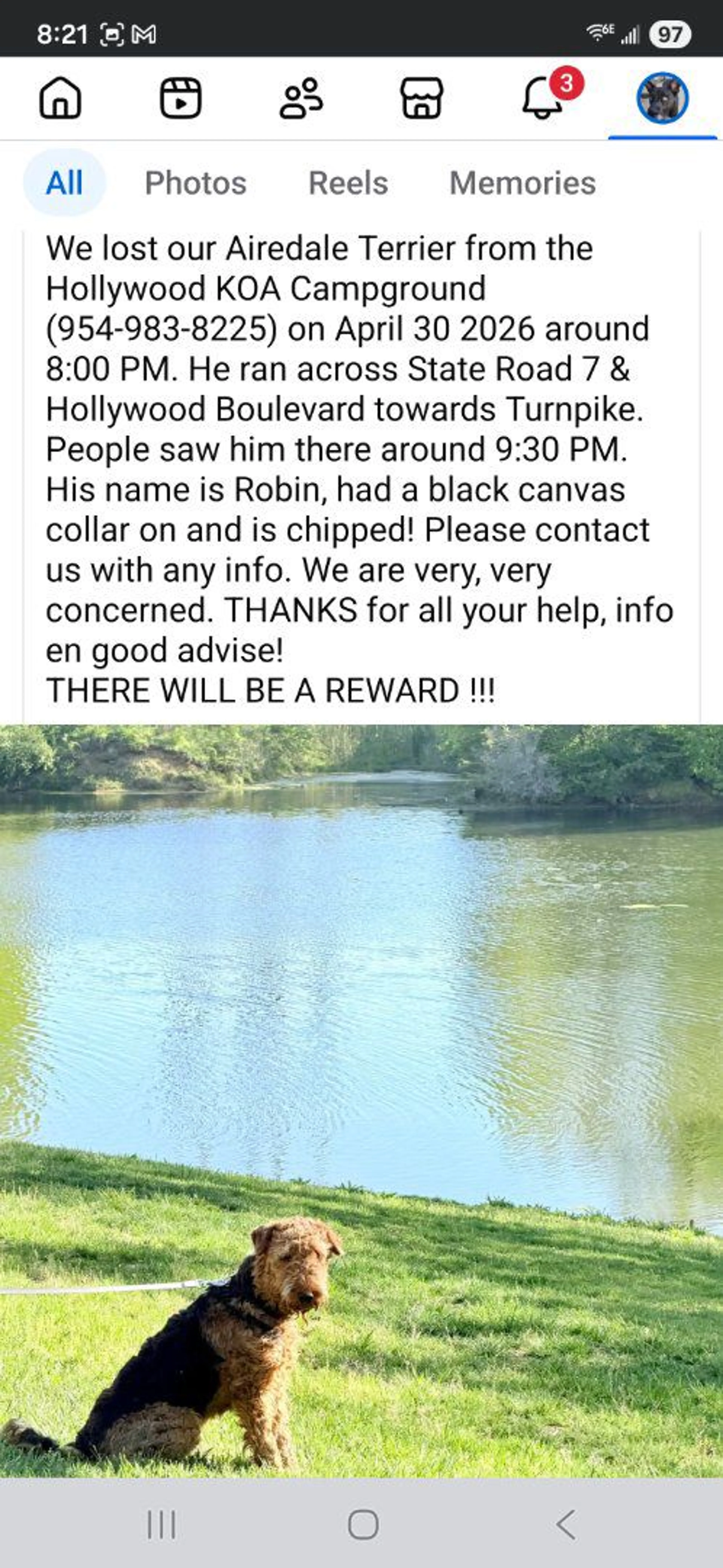 Lost pet-0