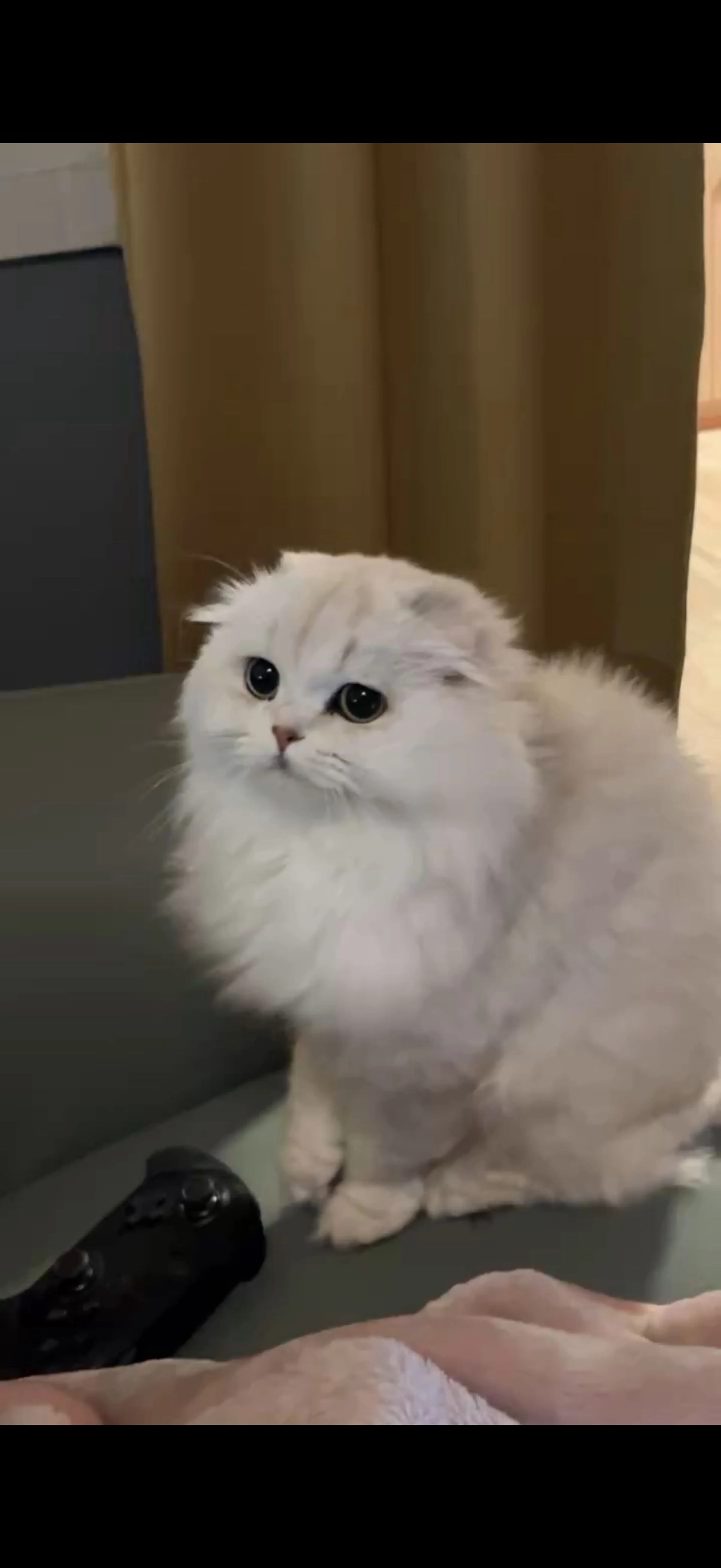 -3