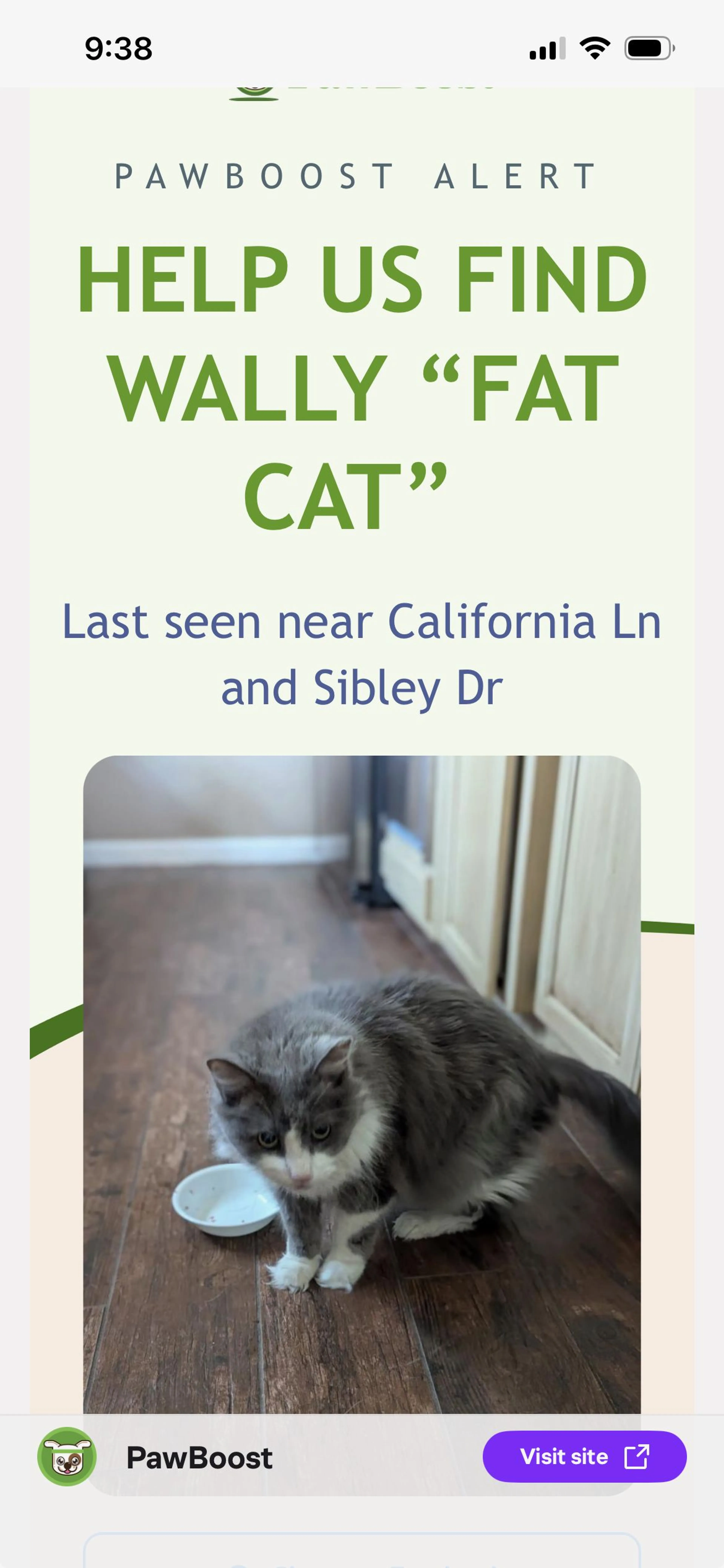 Lost pet