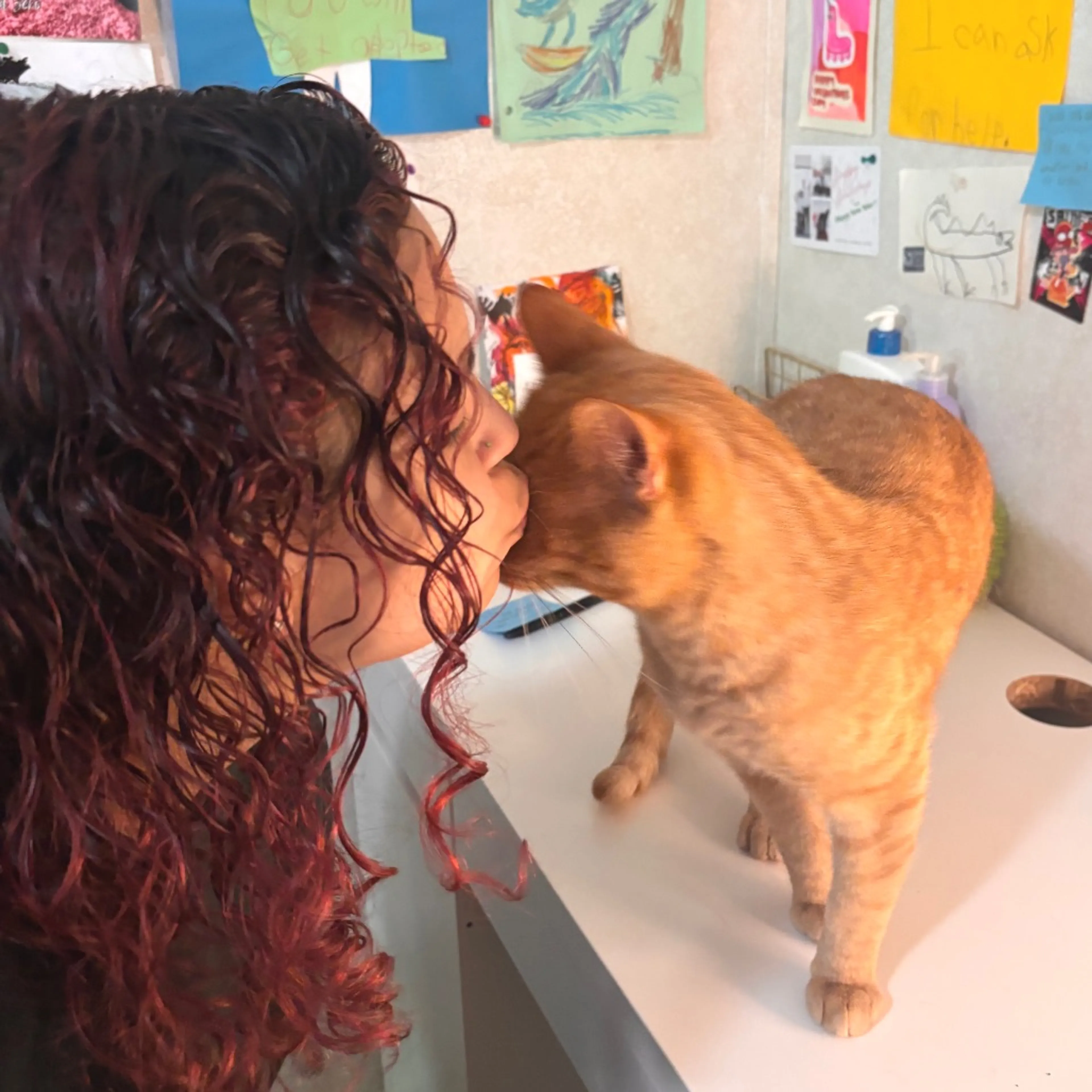 Found pet-1
