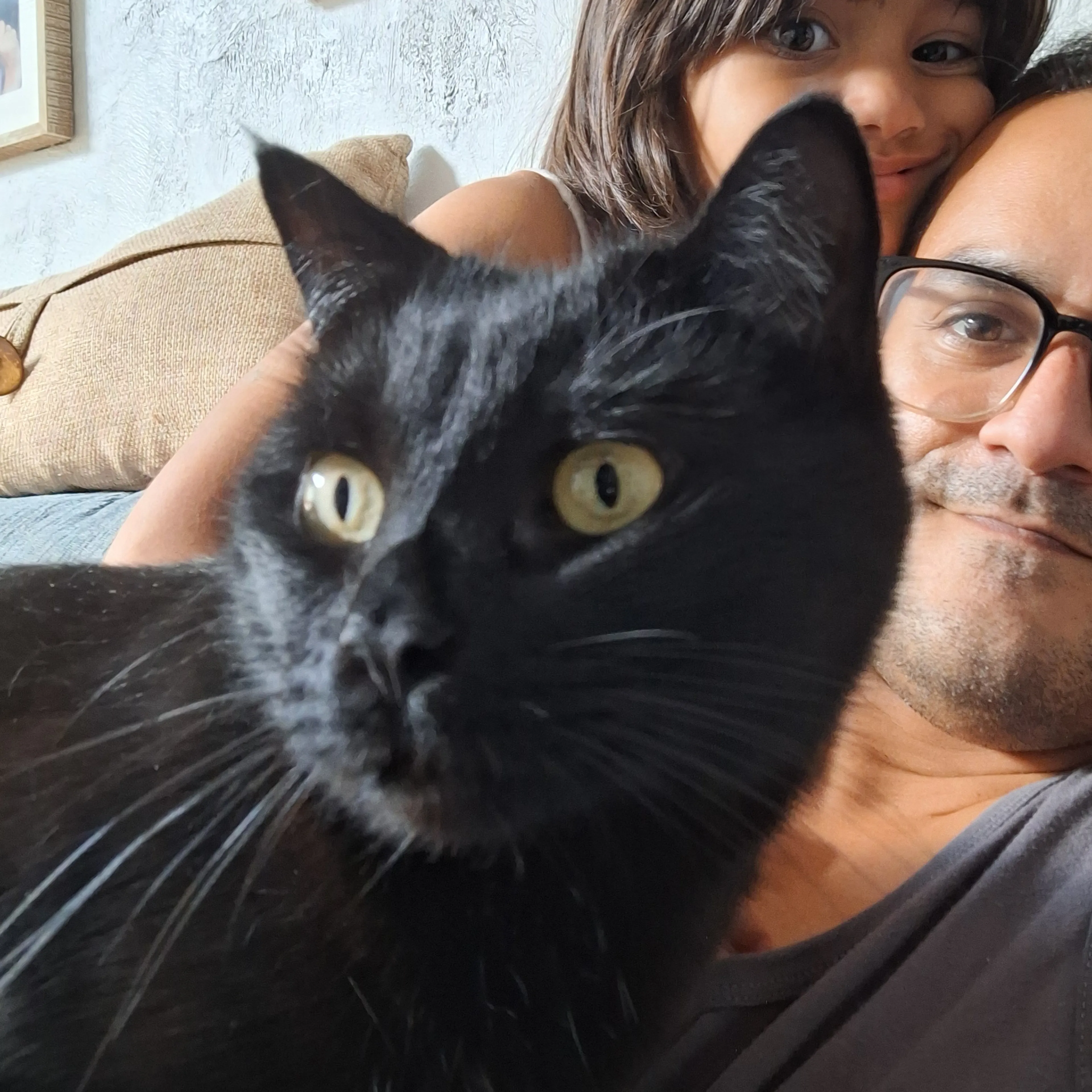 Lost pet-1