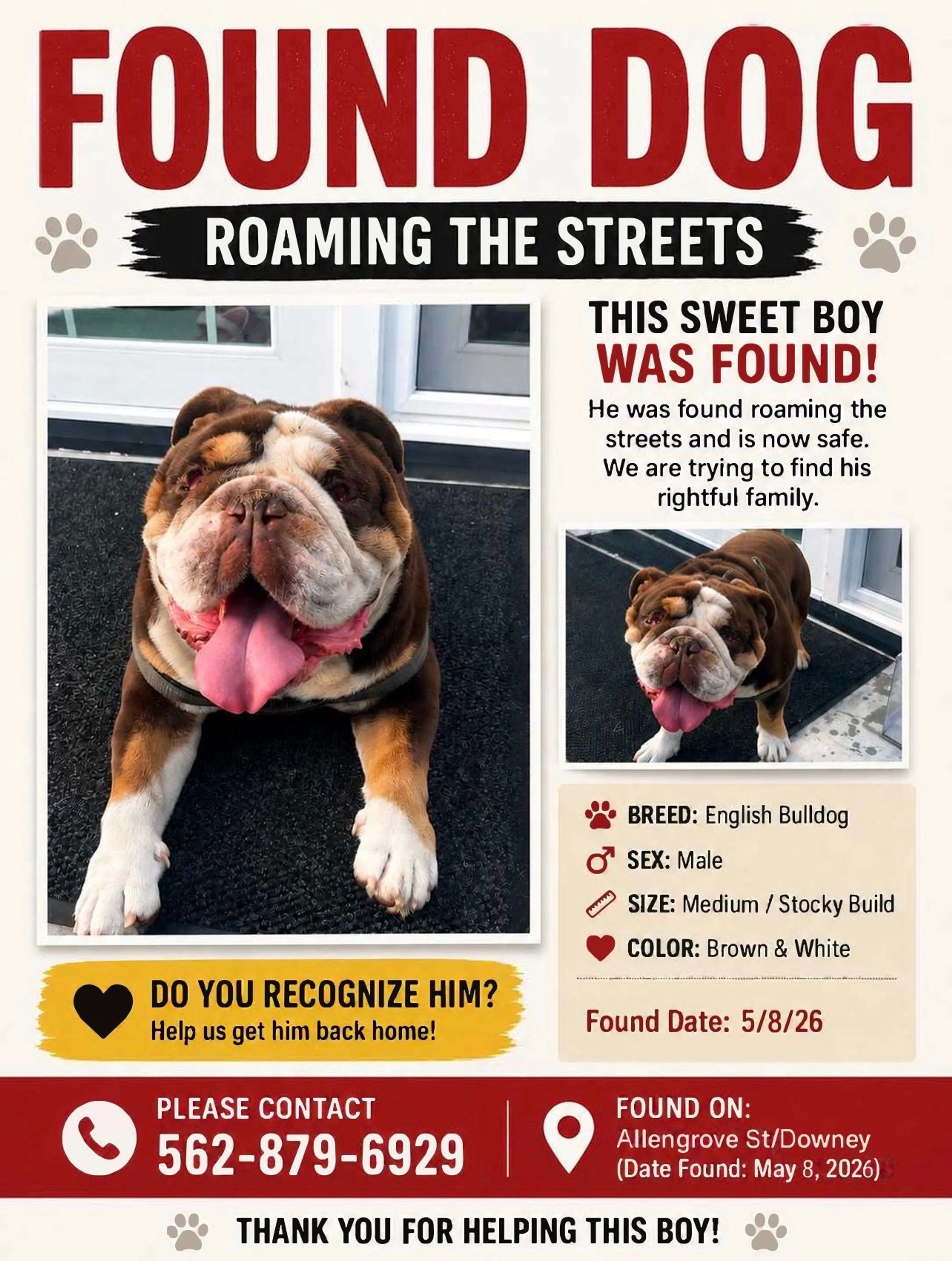 Lost pet