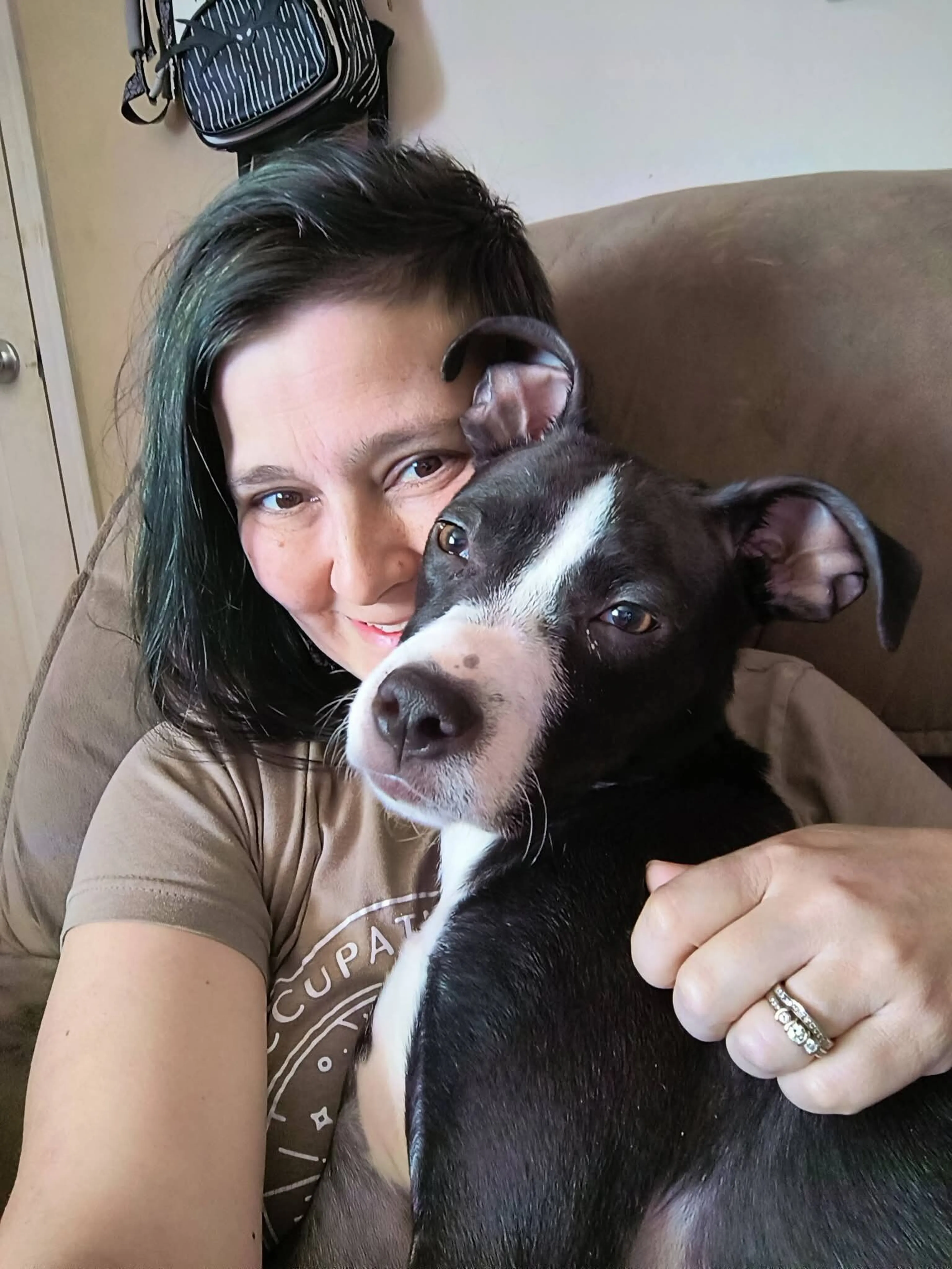 Found pet-1