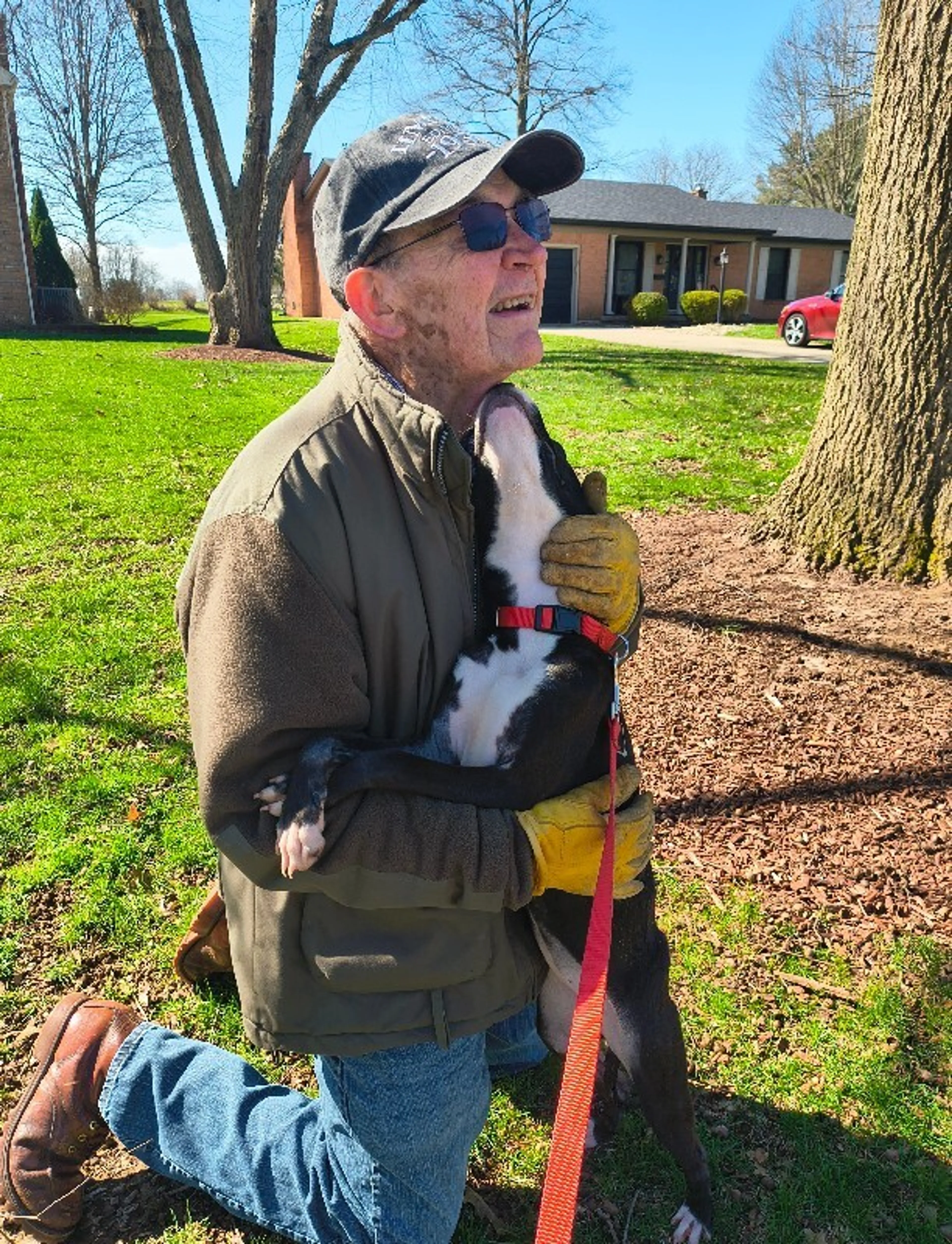 Found pet-7