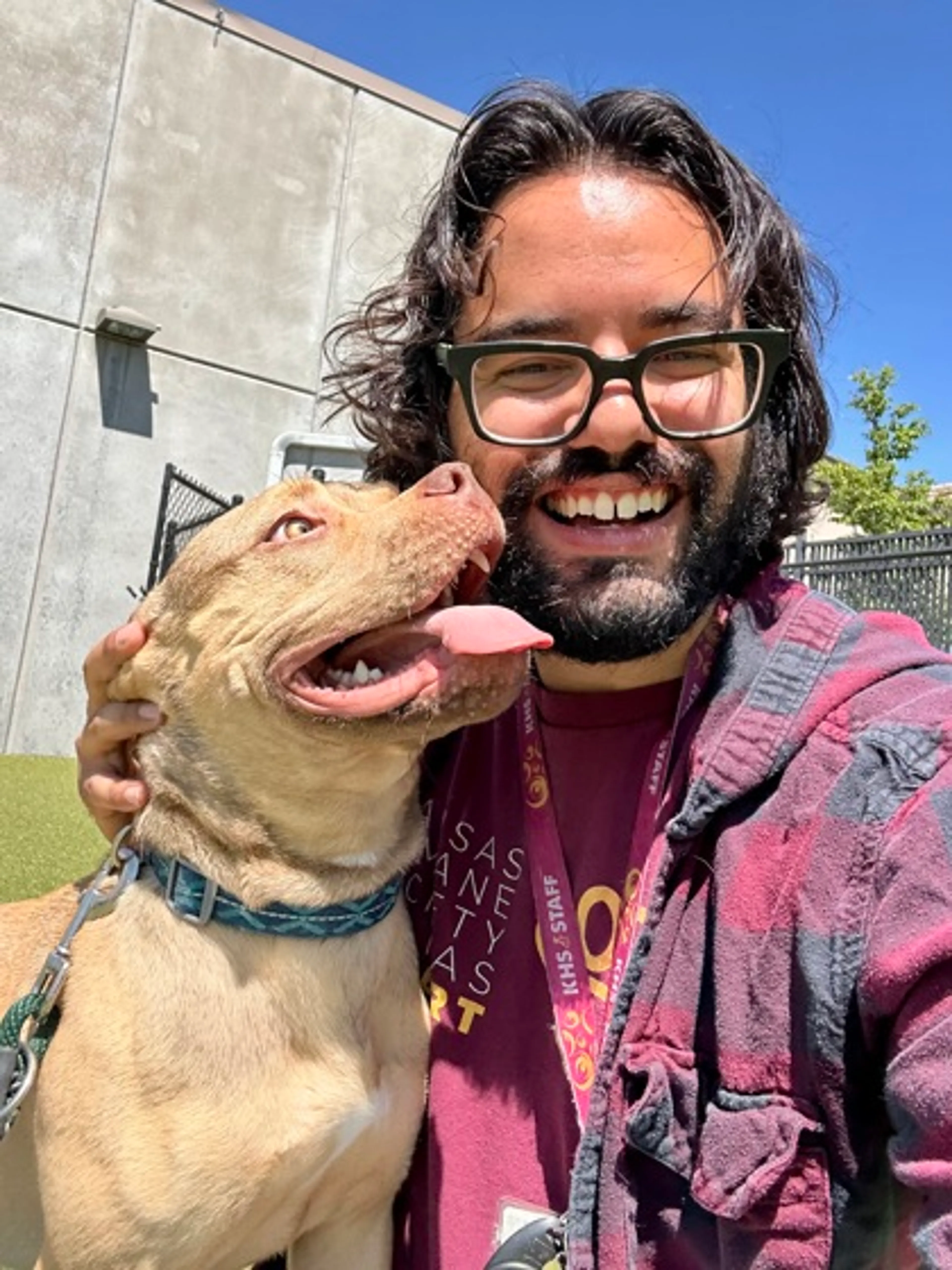 Found pet-2