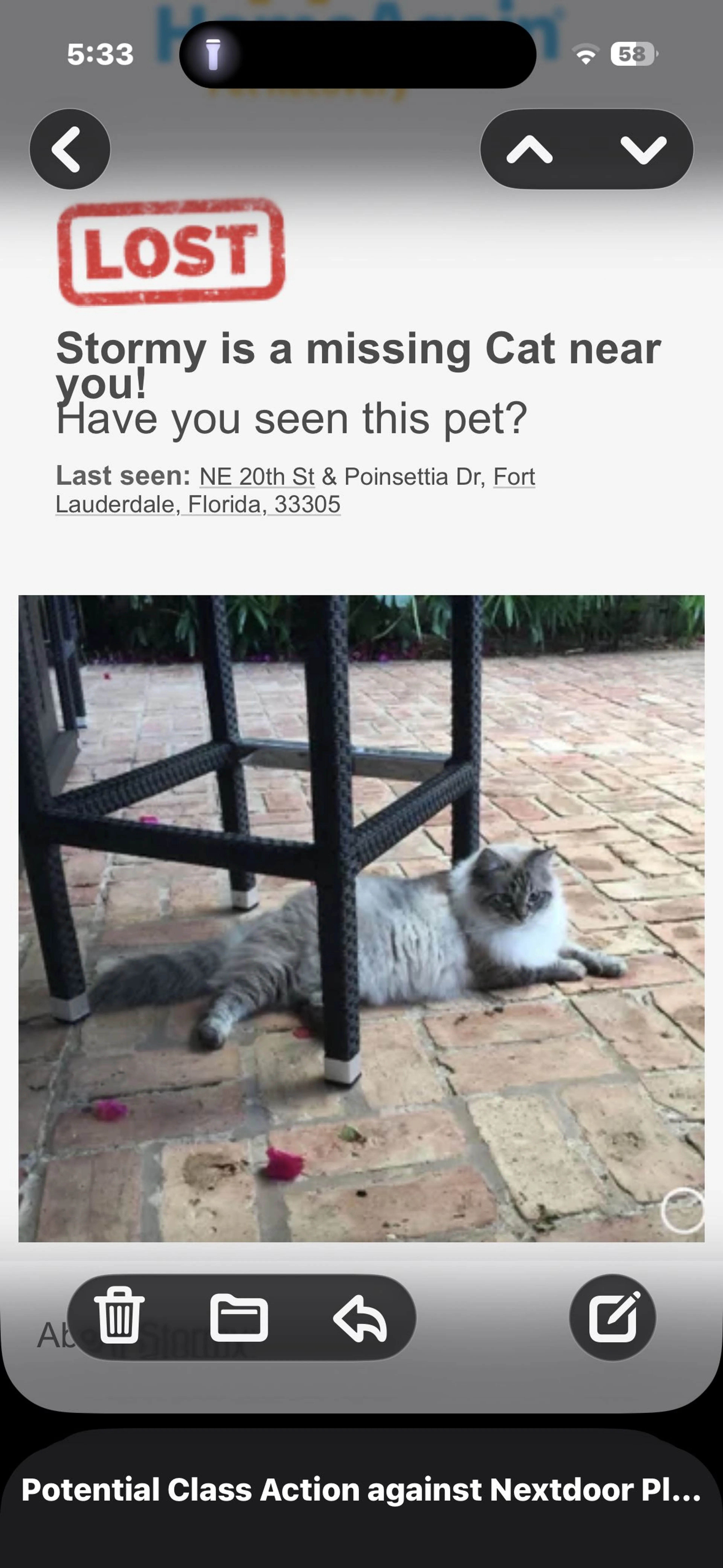 Lost pet
