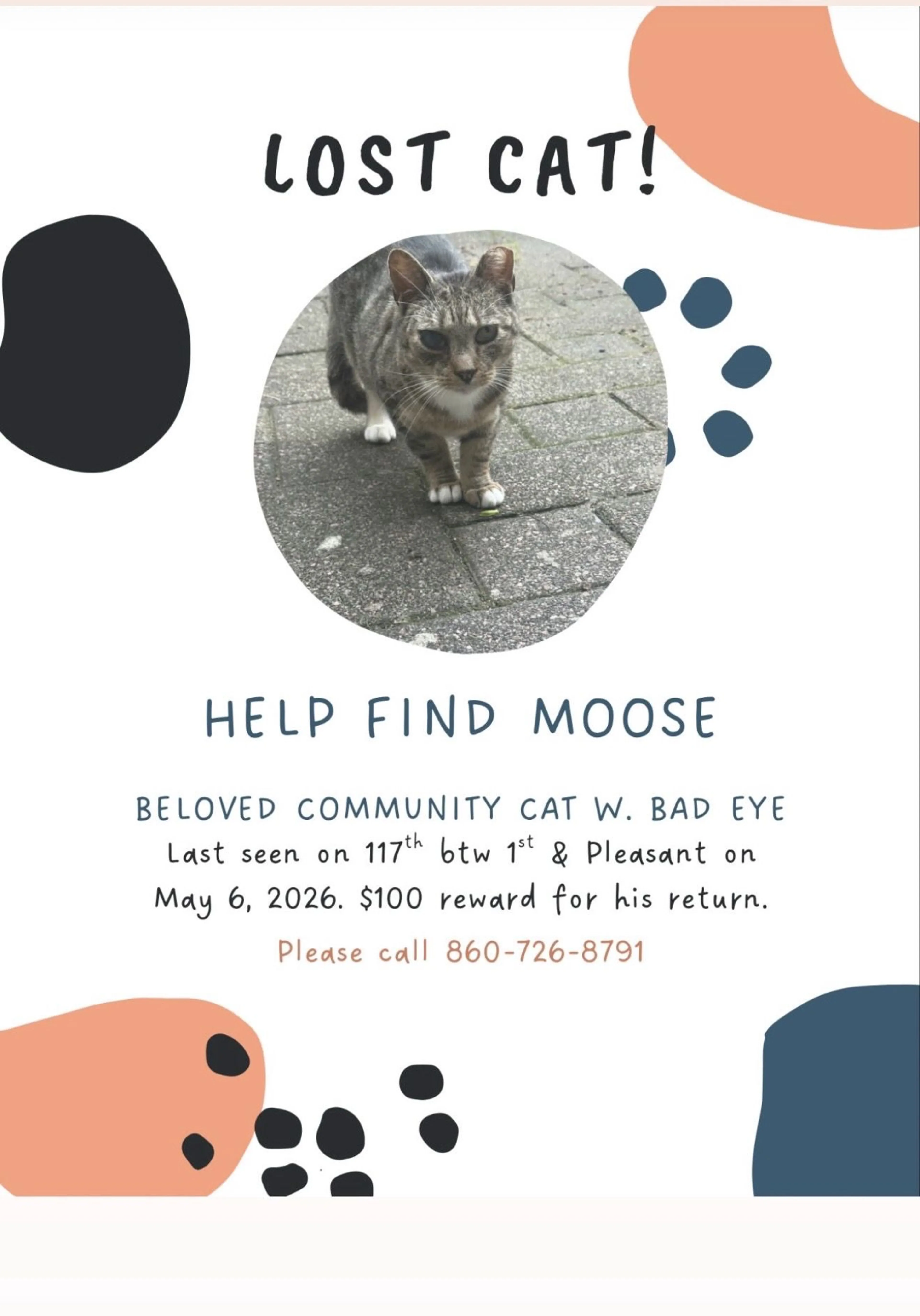 Lost pet