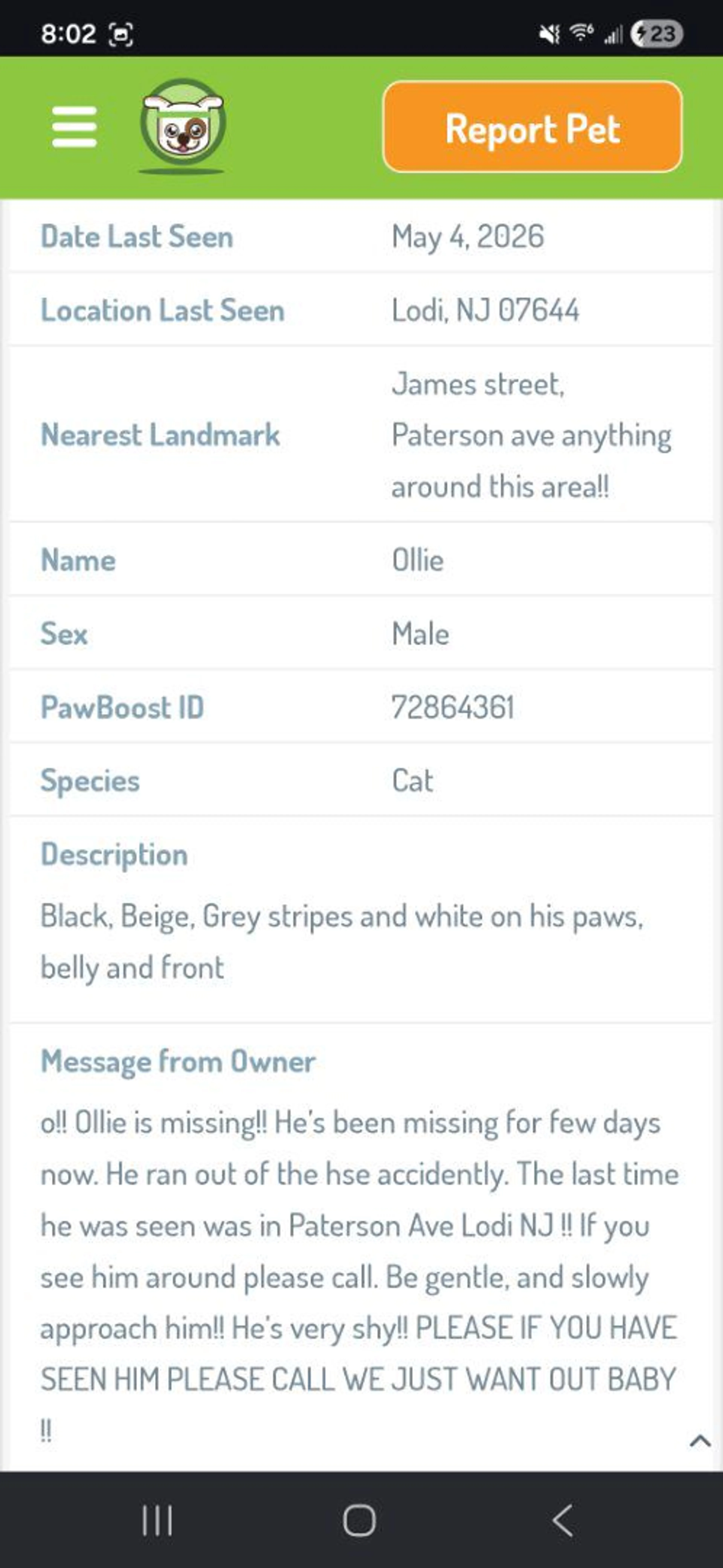 Lost pet-1
